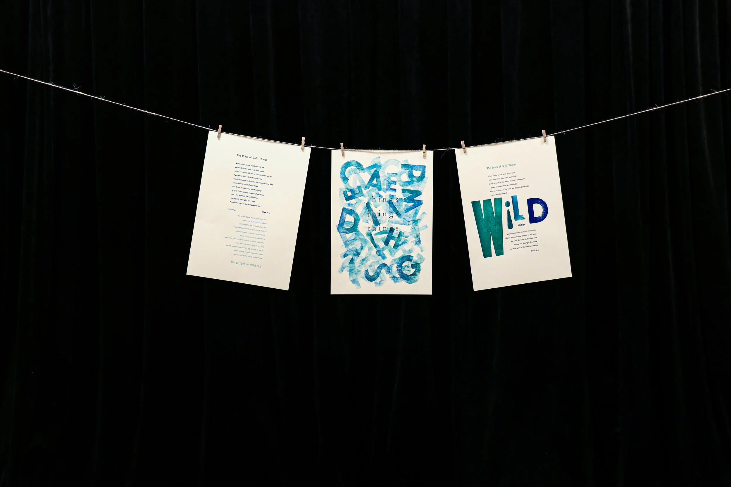 Art Installation Documentation W!LD - IMG 02.jpeg