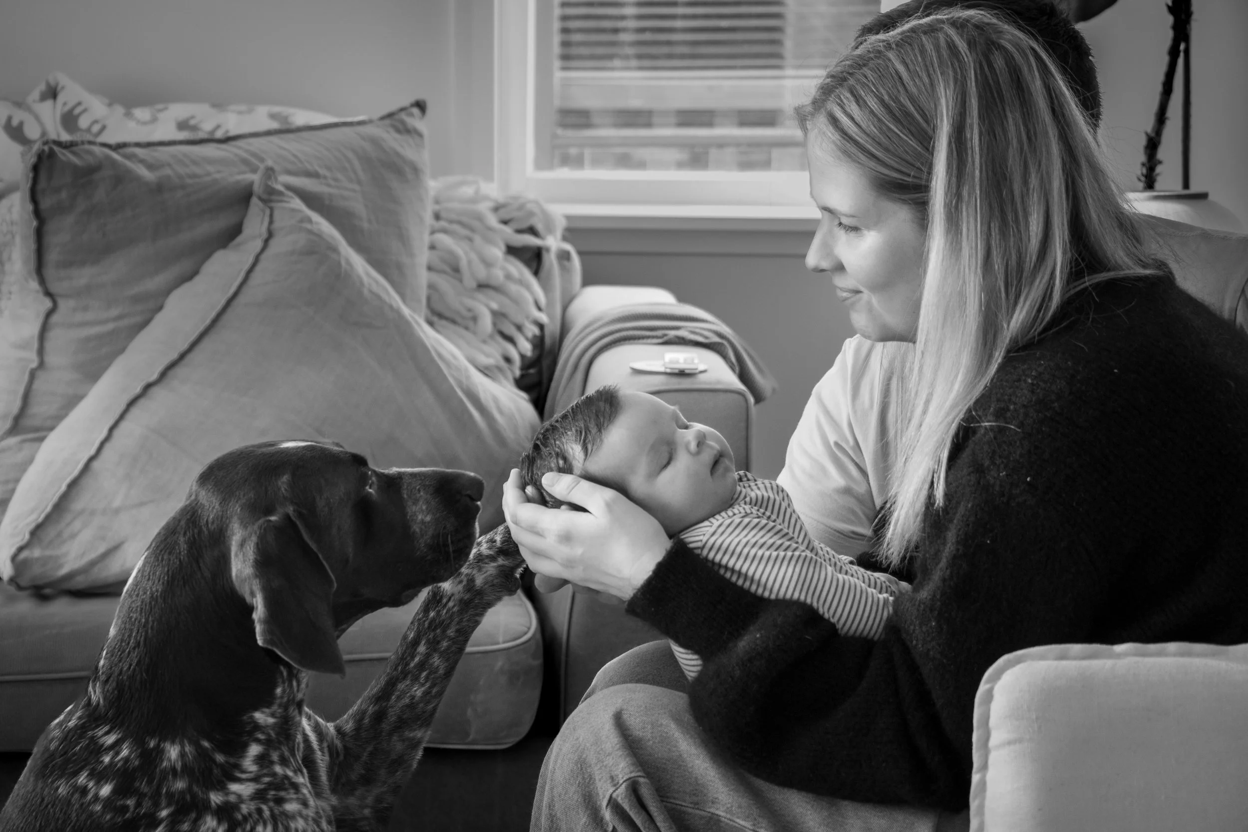 Baby Photography - IMG 05.jpeg