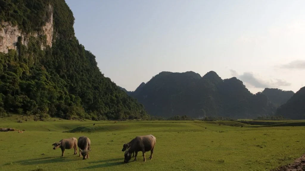 Huu Lung - not too shabby. Picture shamelessly lifted from this fine climbing blog, thank you Ariane