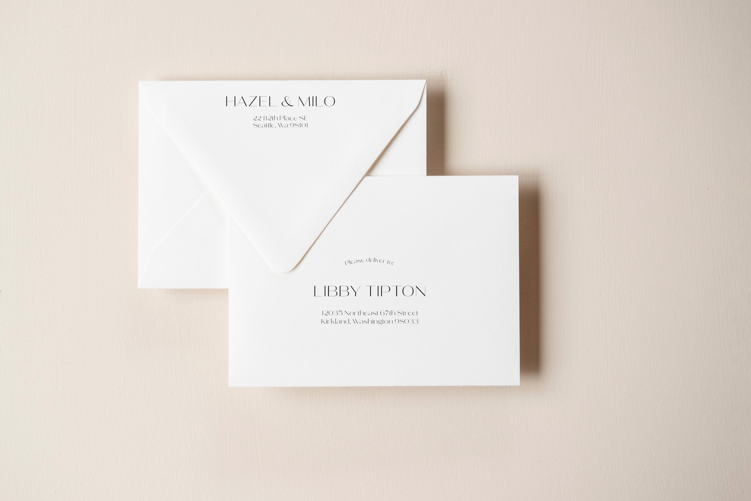 Lani Save the Date Envelope.jpg