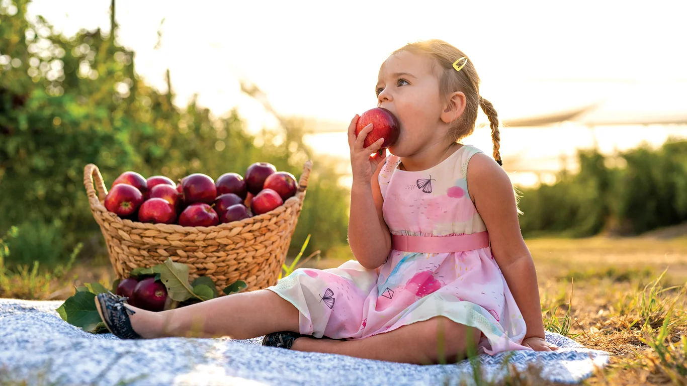 Header Image - home.jpg