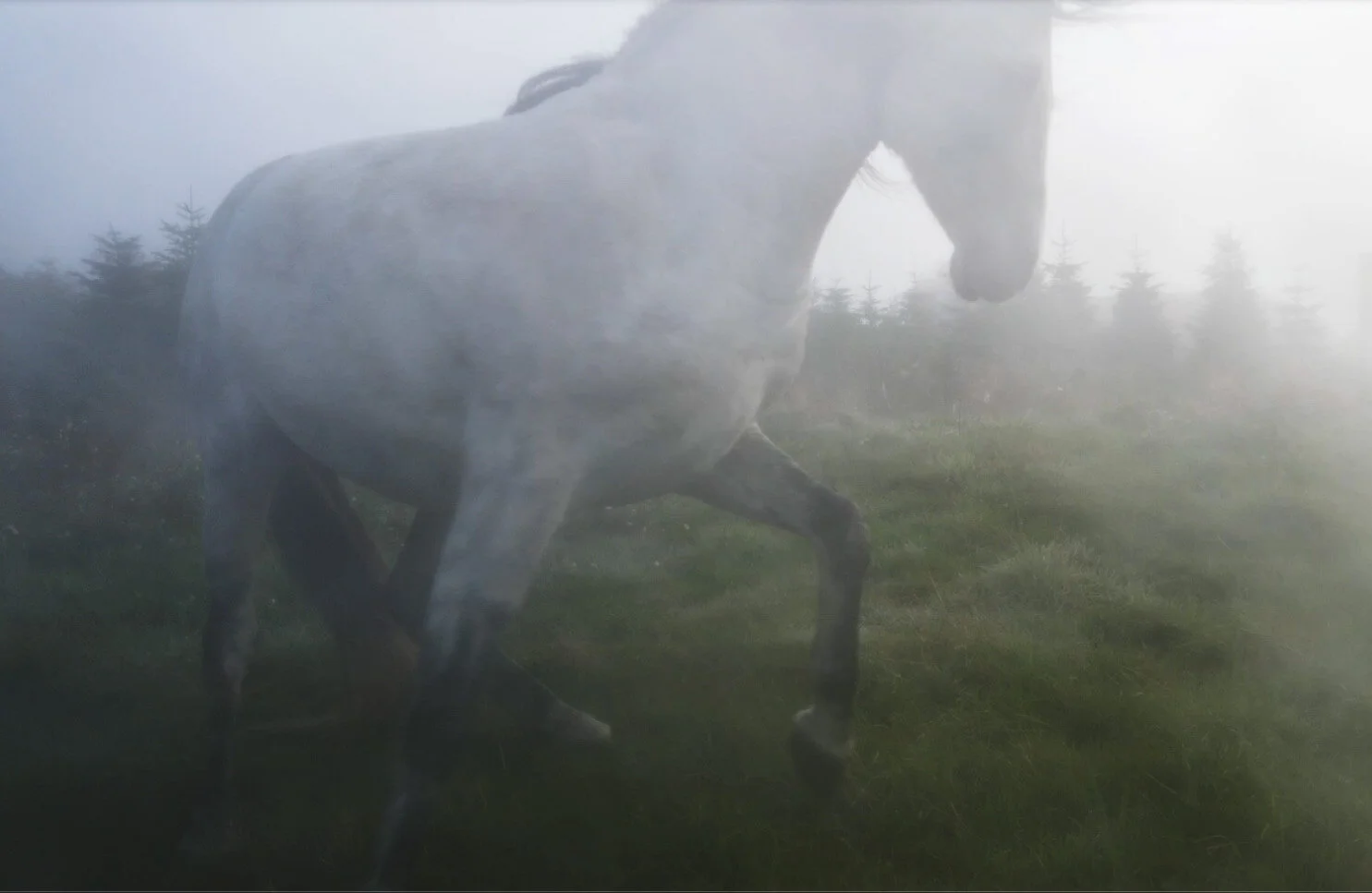 Our World With Light (Copy)