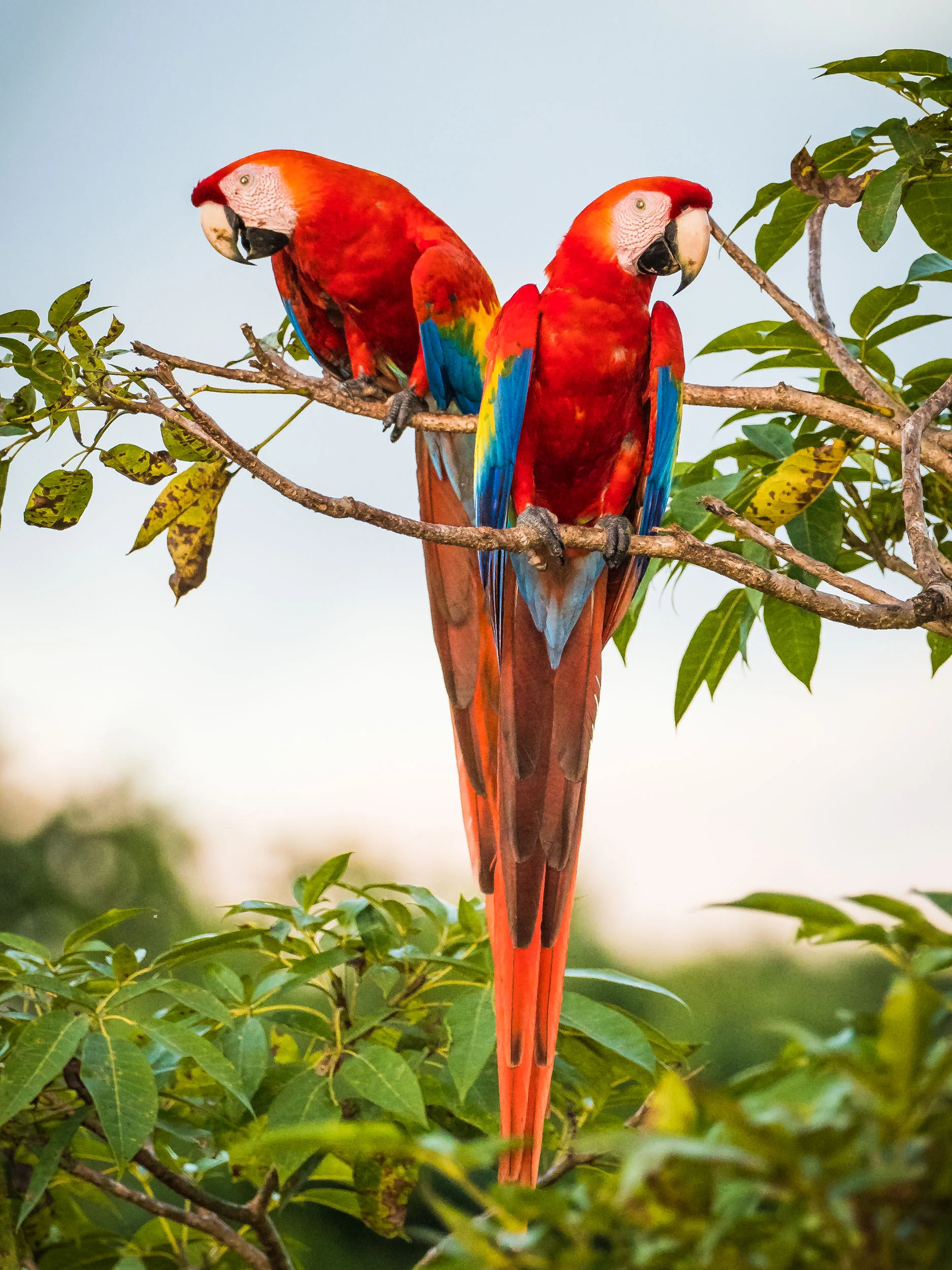 Matt_Anderson_Wildlife_02.jpg