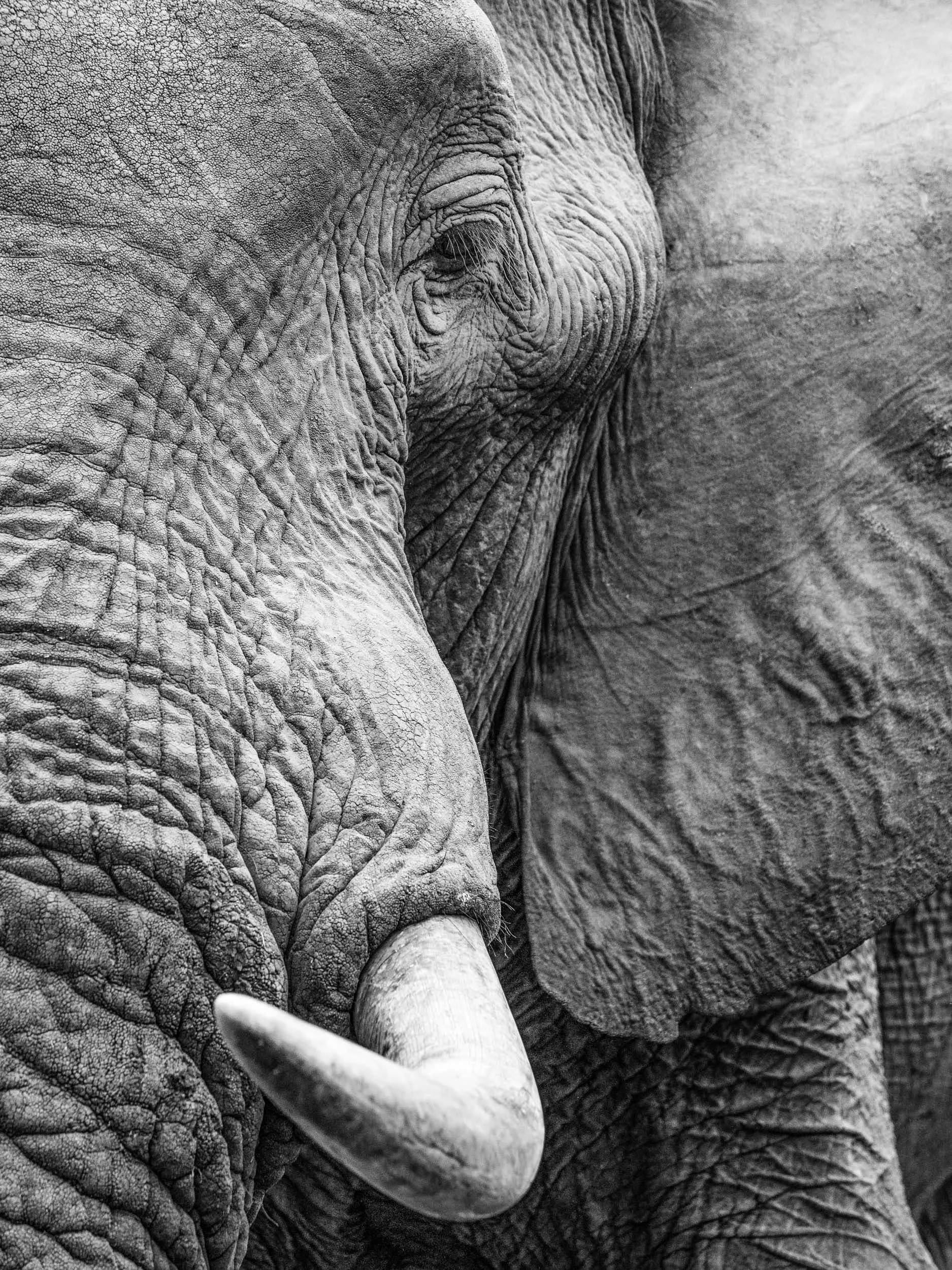 Matt_Anderson_Wildlife_01.jpg