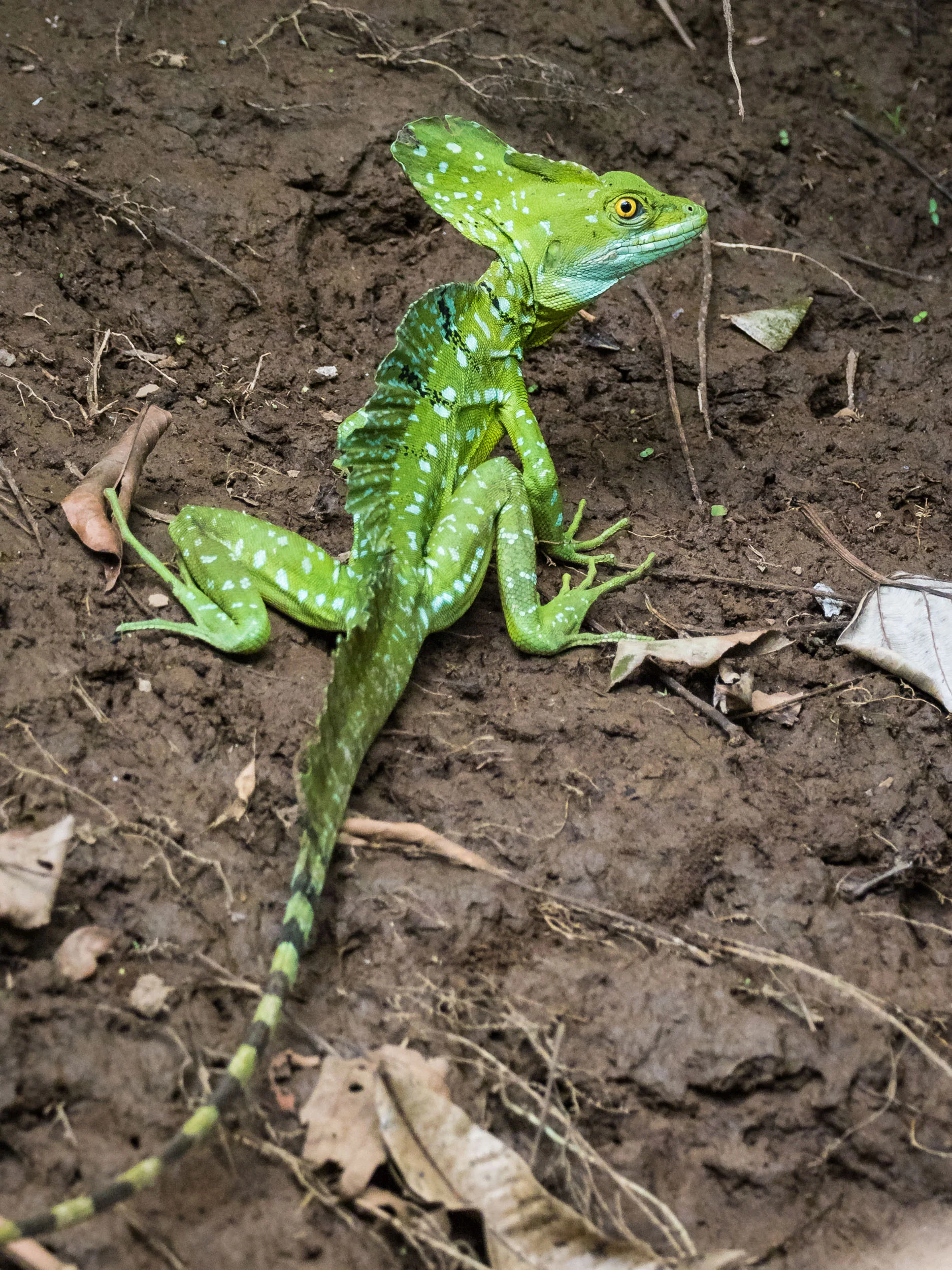 Matt_Anderson_Wildlife_03.jpg