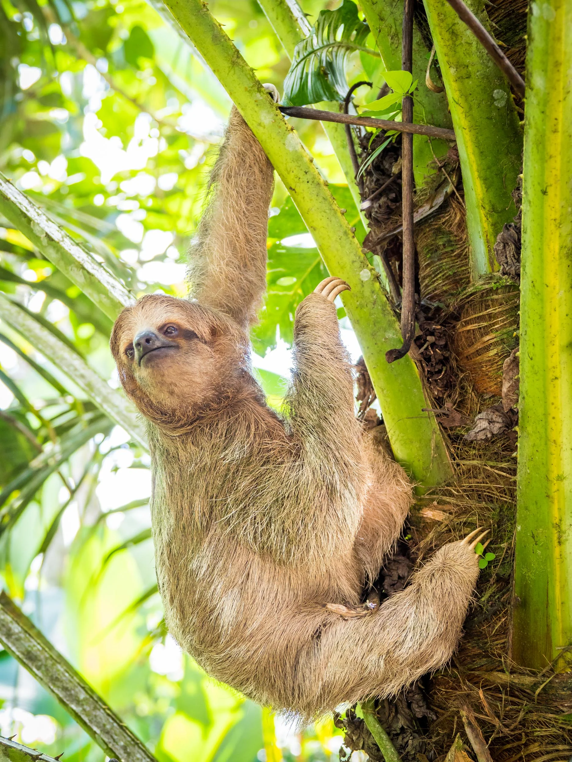 Matt_Anderson_Wildlife_23255.jpg