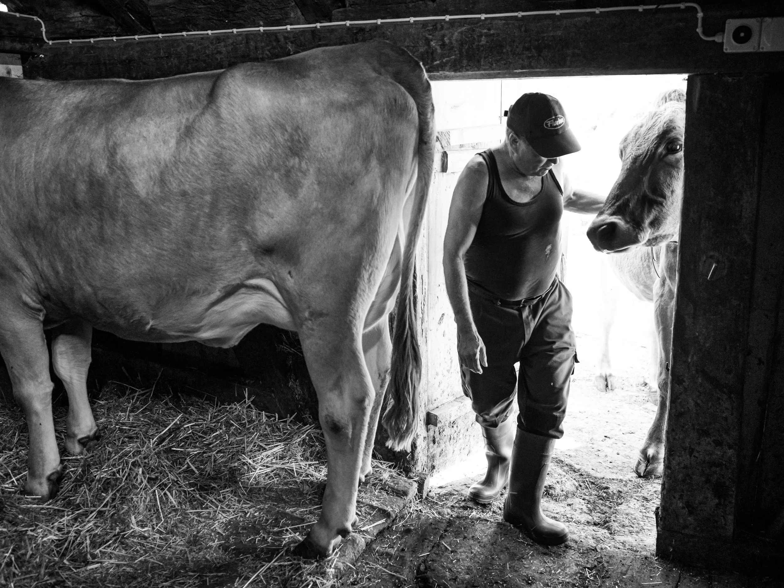 Matt_Anderson_Farmer_Reportage_0230.jpg