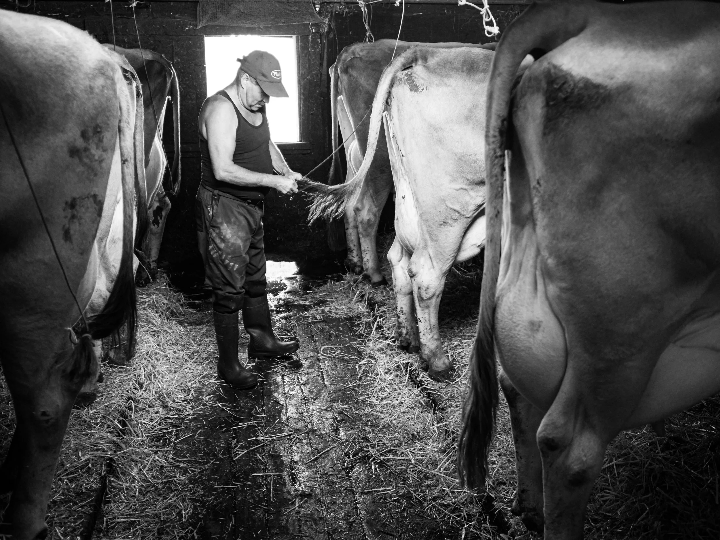 Matt_Anderson_Farmer_Reportage_0399.jpg