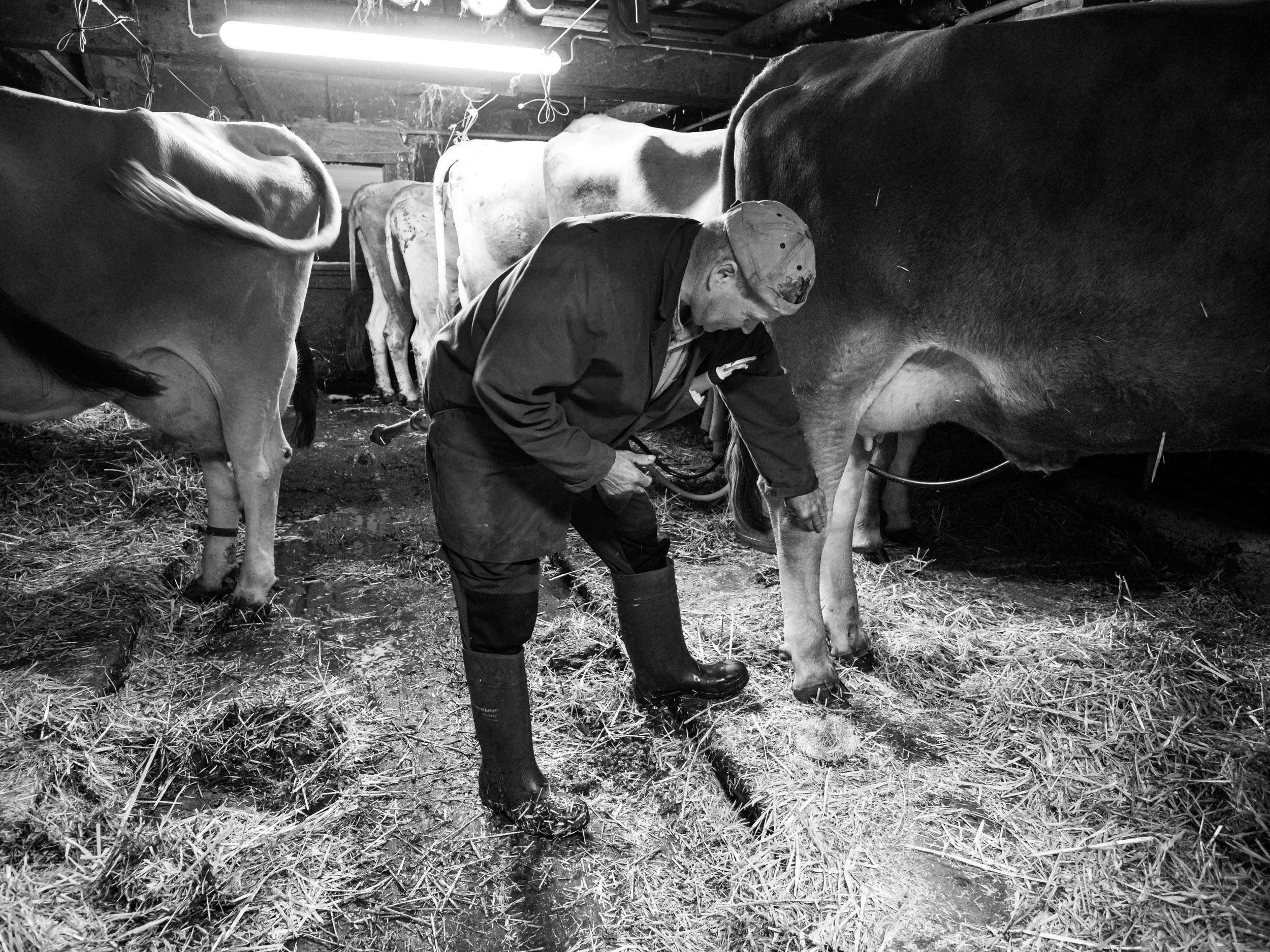 Matt_Anderson_Farmer_Reportage_0615.jpg