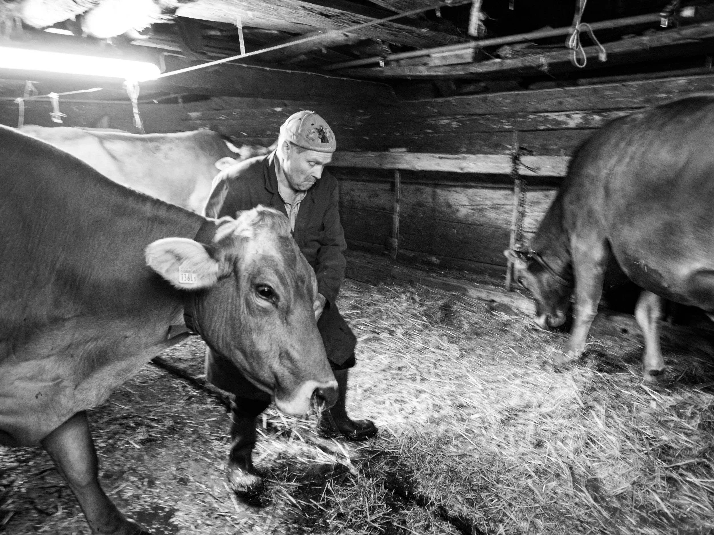 Matt_Anderson_Farmer_Reportage_0717-2.jpg