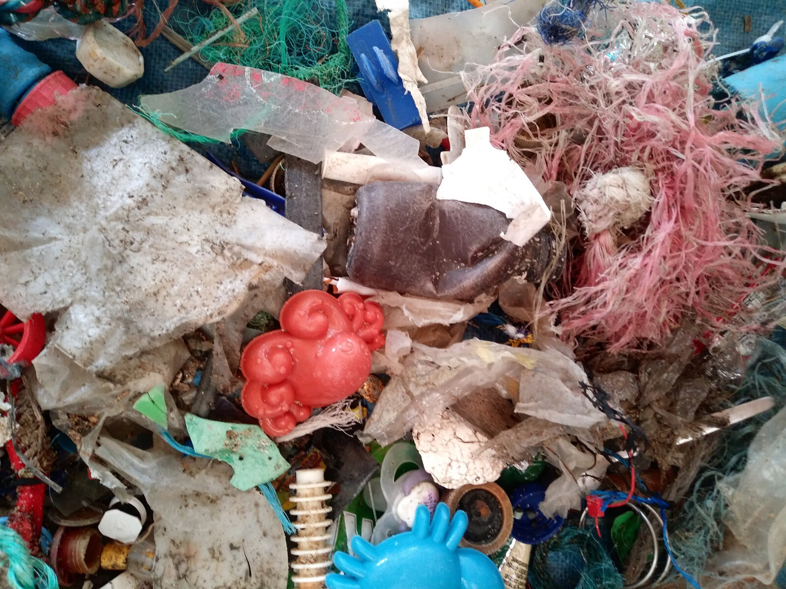 Charmouth Beach Litter 2019.jpg