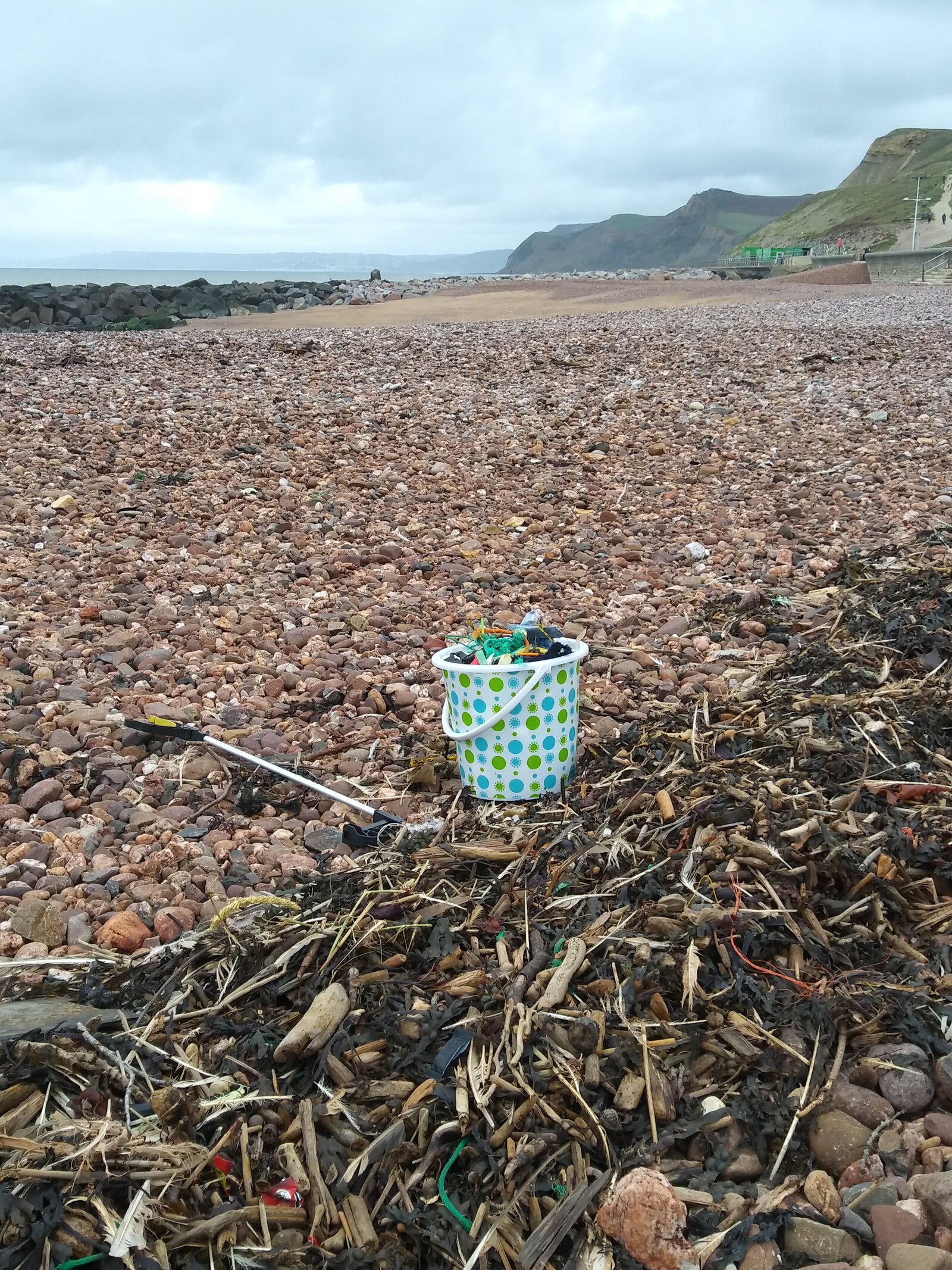 Litter collecting on West Bay beach 2019.jpg