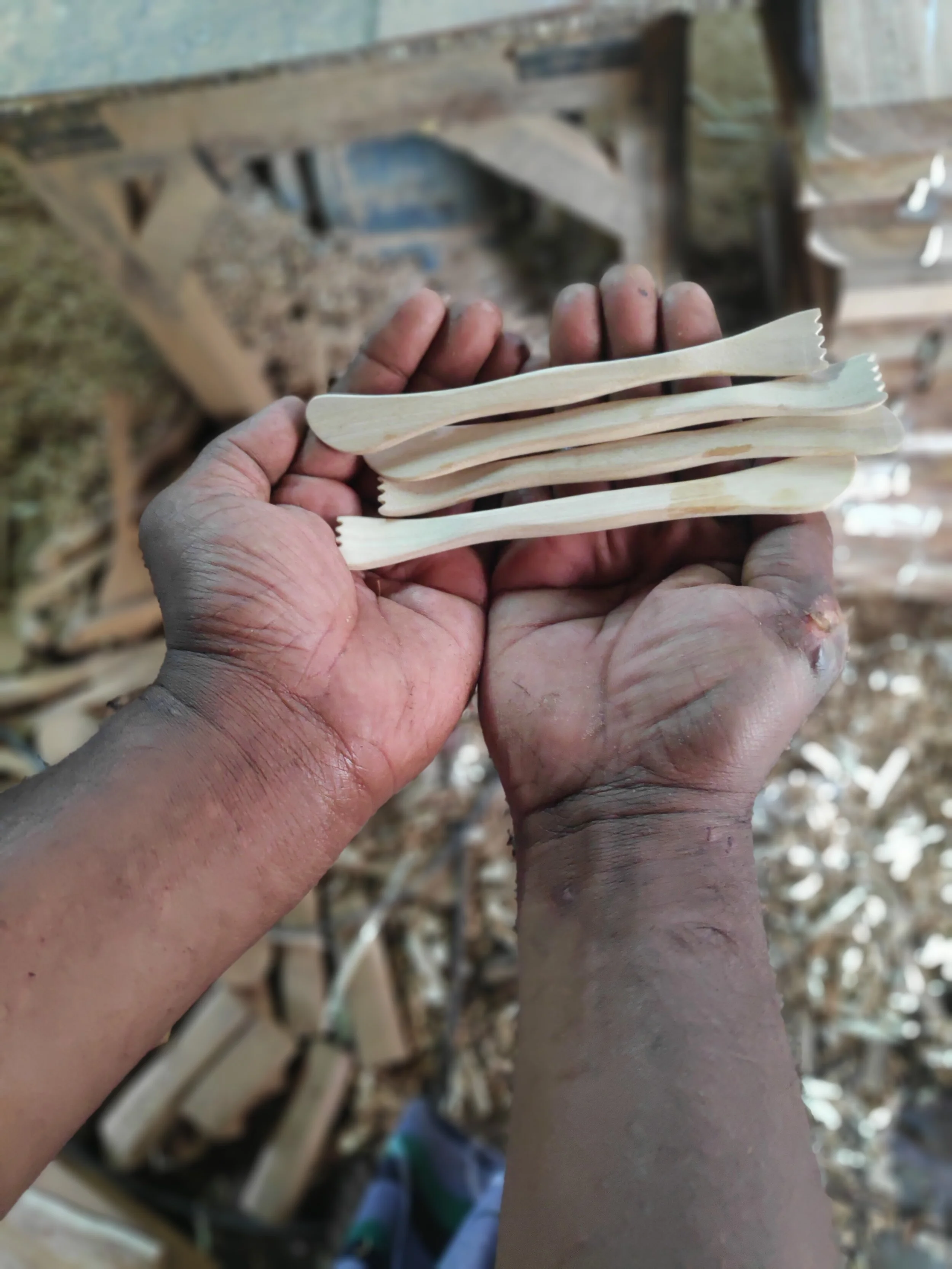 7 progress- vijayan.jpg