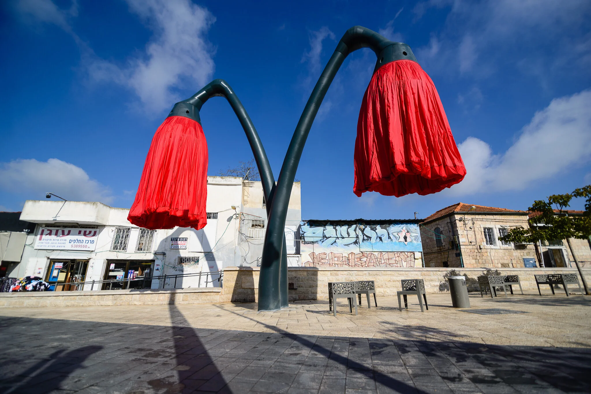 WARDE_closed_flowers_photo_Dor_Kedmi.jpg
