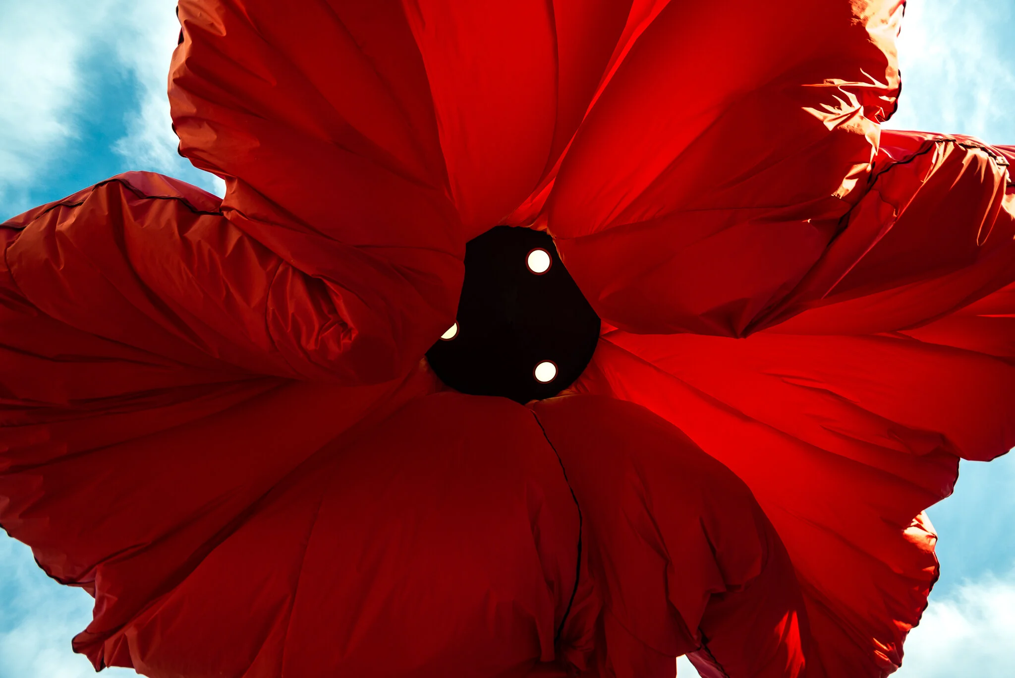 WARDE_detail_photo_Dor_Kedmi.jpg