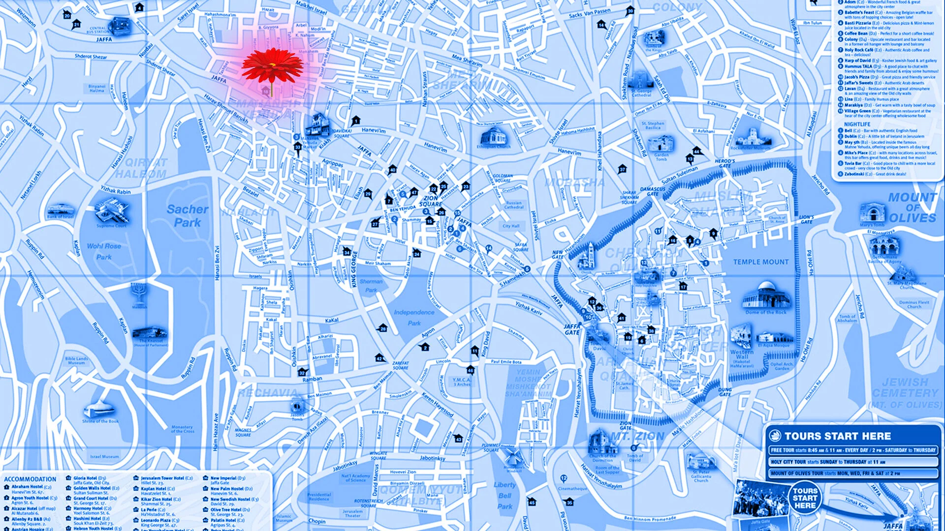 Warde Map.jpg