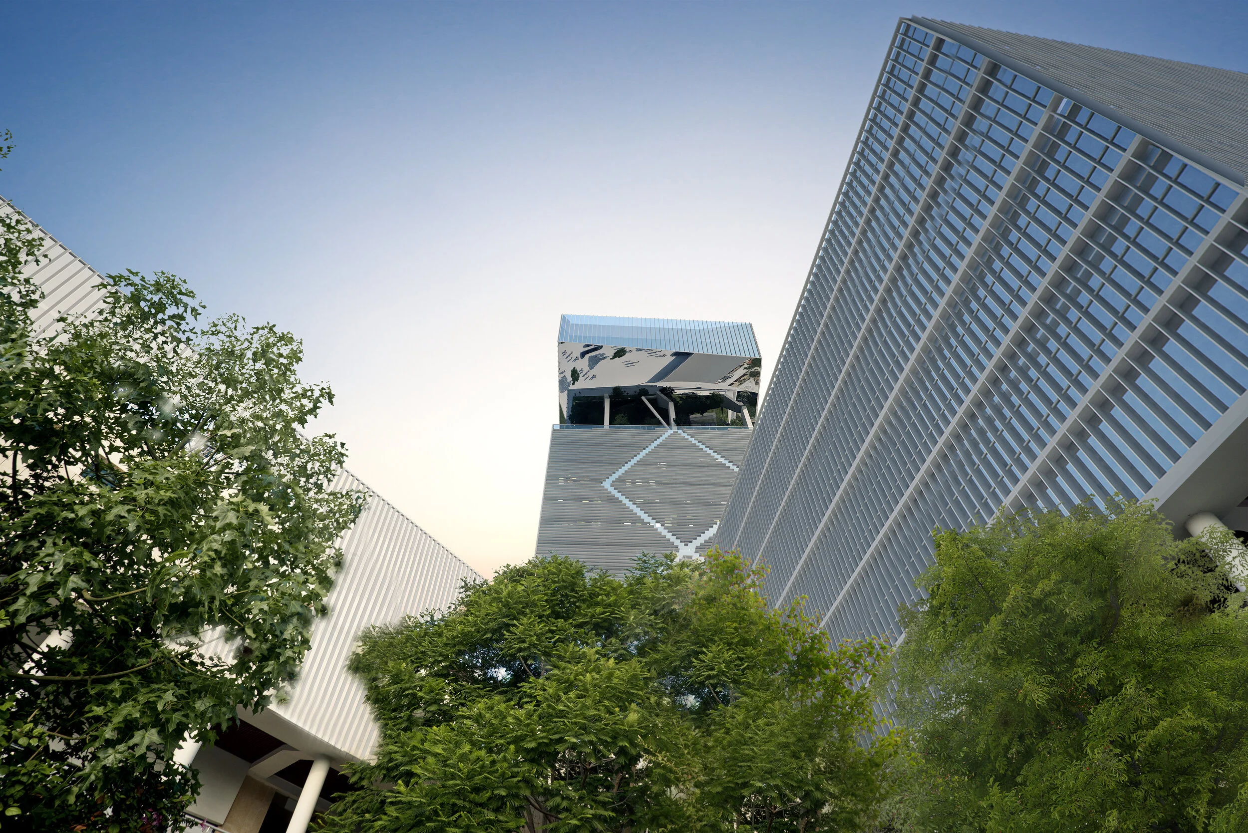 sharona-shtila-c0264_00000 12-16-2015.jpg