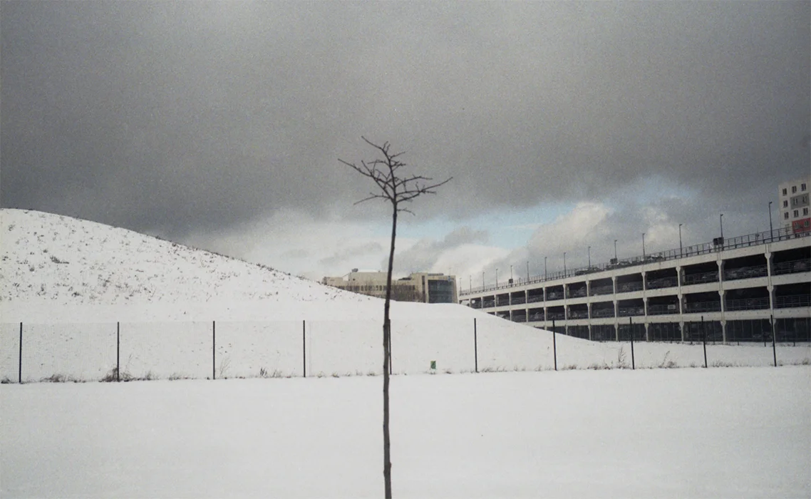 03.jpg