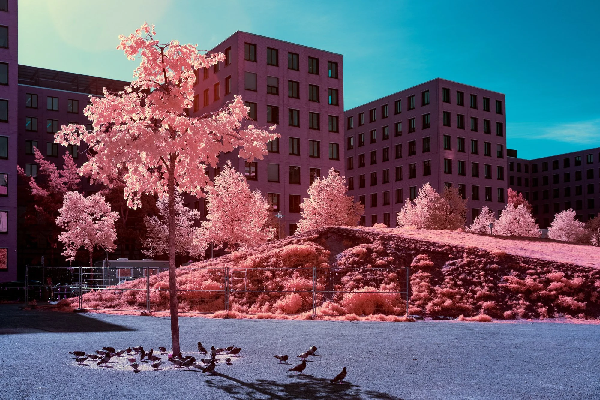 andre-wagner-the-infrared-journey-fine-art-photography-00769.jpg