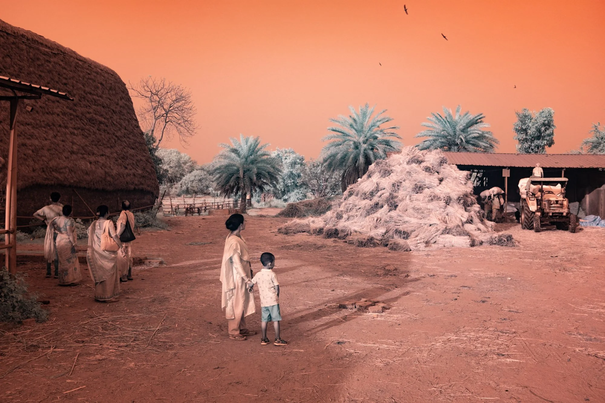 andre-wagner-the-infrared-journey-fine-art-photography-00465.jpg