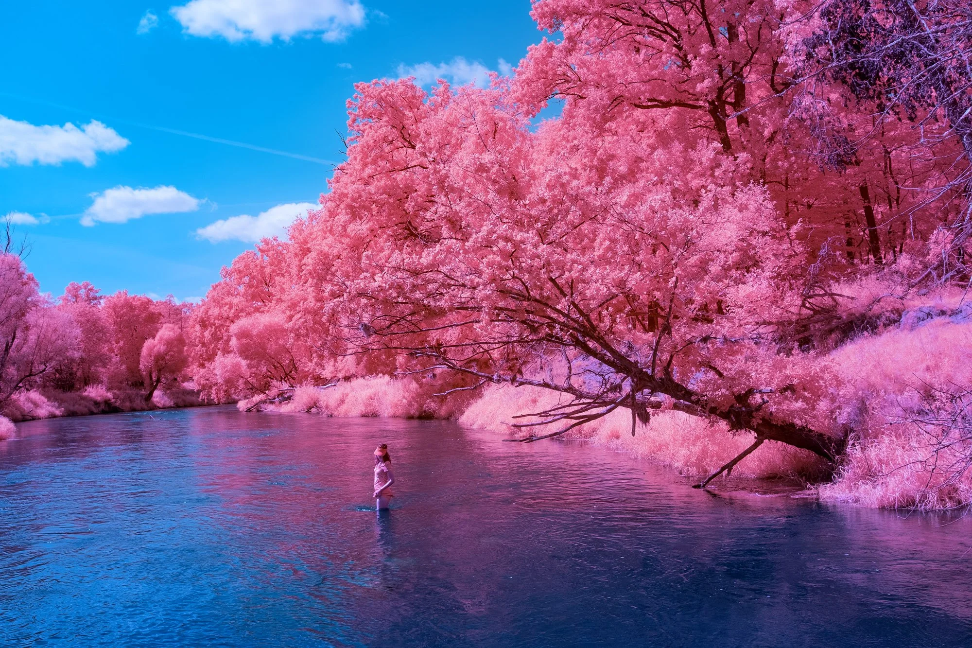 andre-wagner-the-infrared-journey-fine-art-photography-00774.jpg
