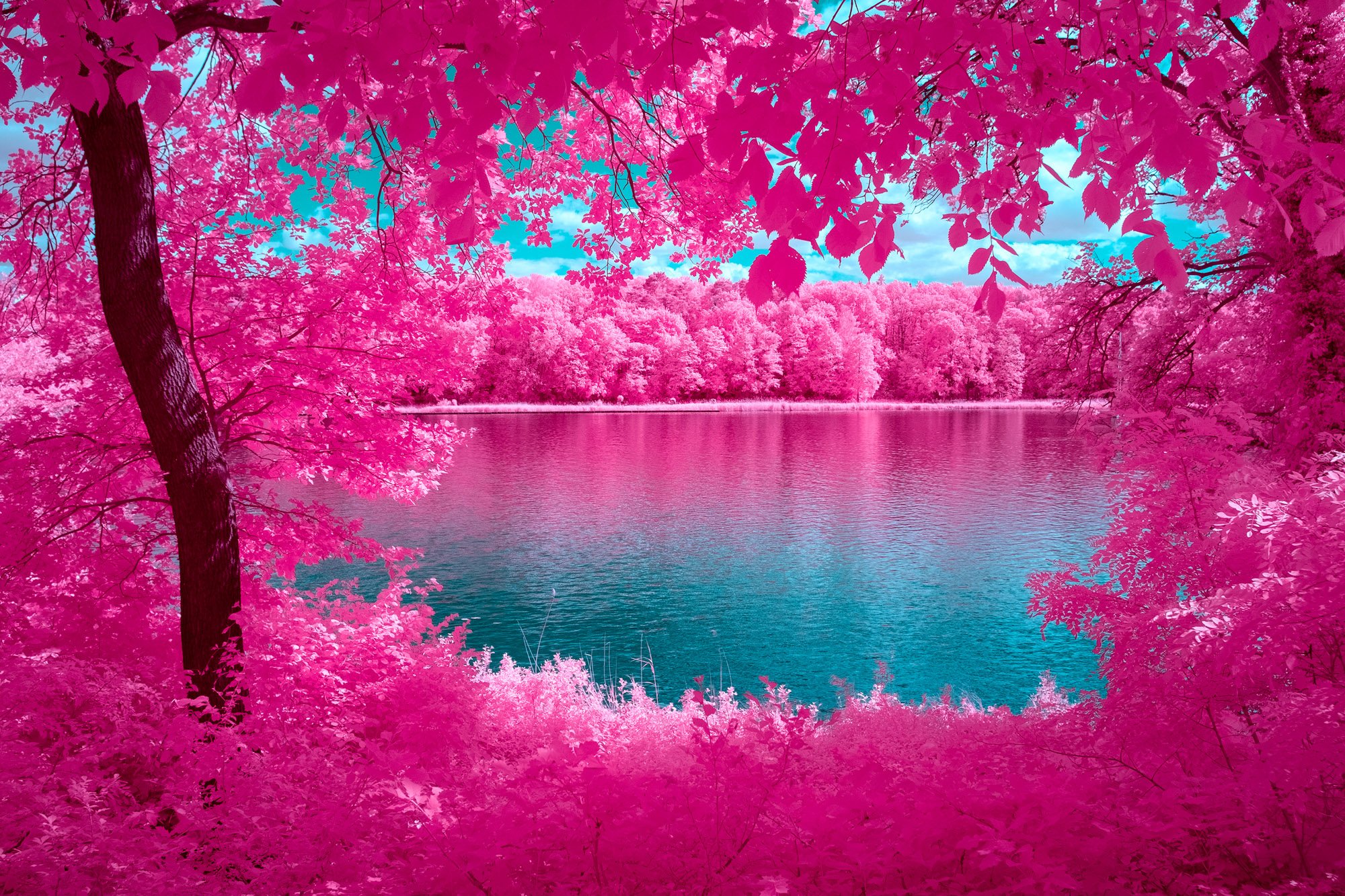 andre-wagner-the-infrared-journey-fine-art-photography-00268.jpg
