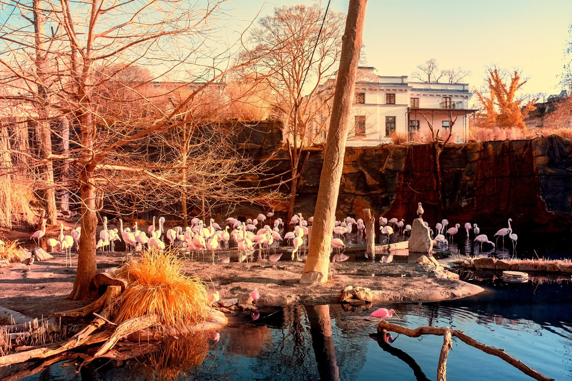 andre-wagner-the-infrared-journey-fine-art-photography-00661.jpg