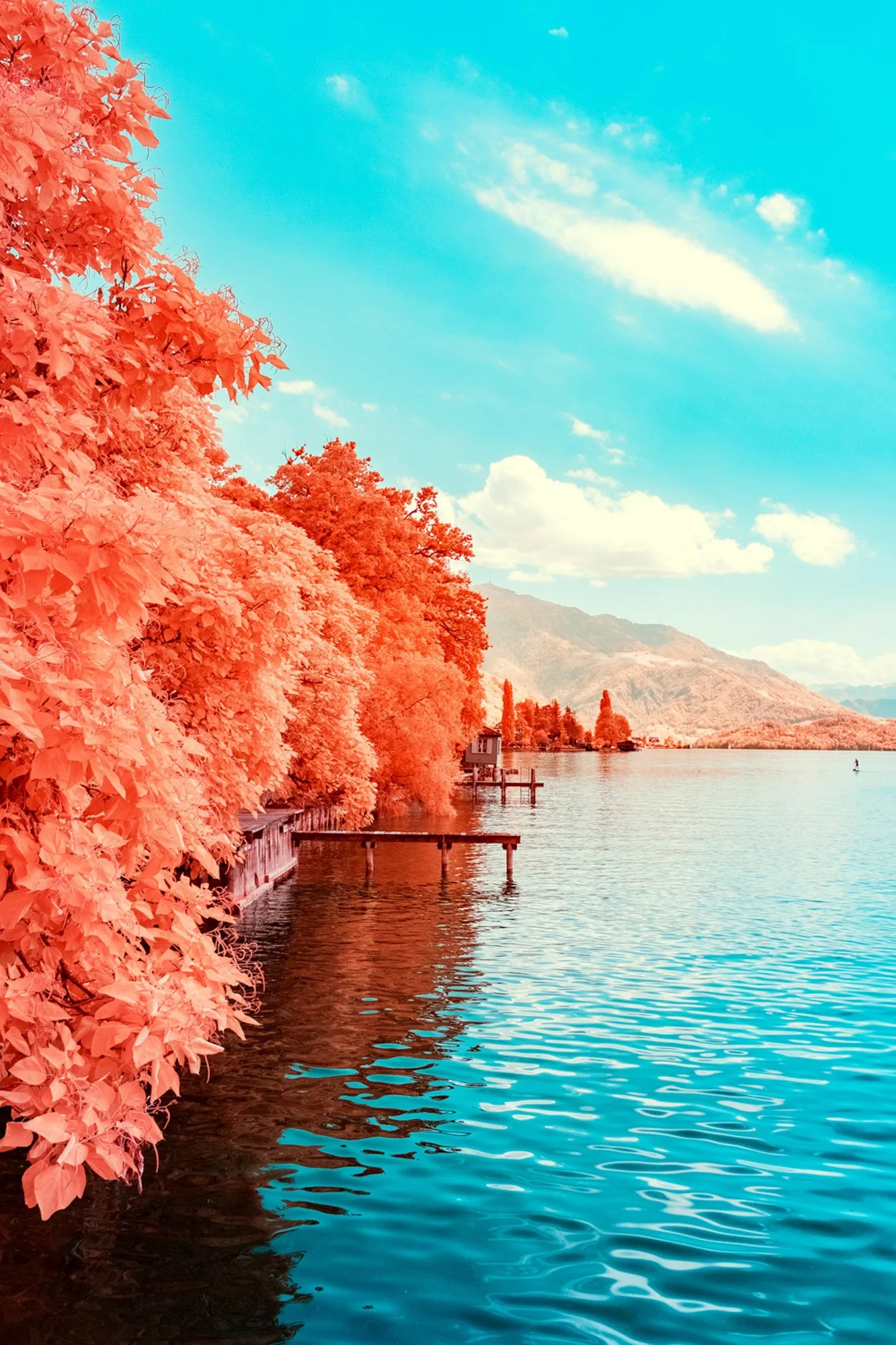 andre-wagner-the-infrared-journey-fine-art-photography-00633.jpg