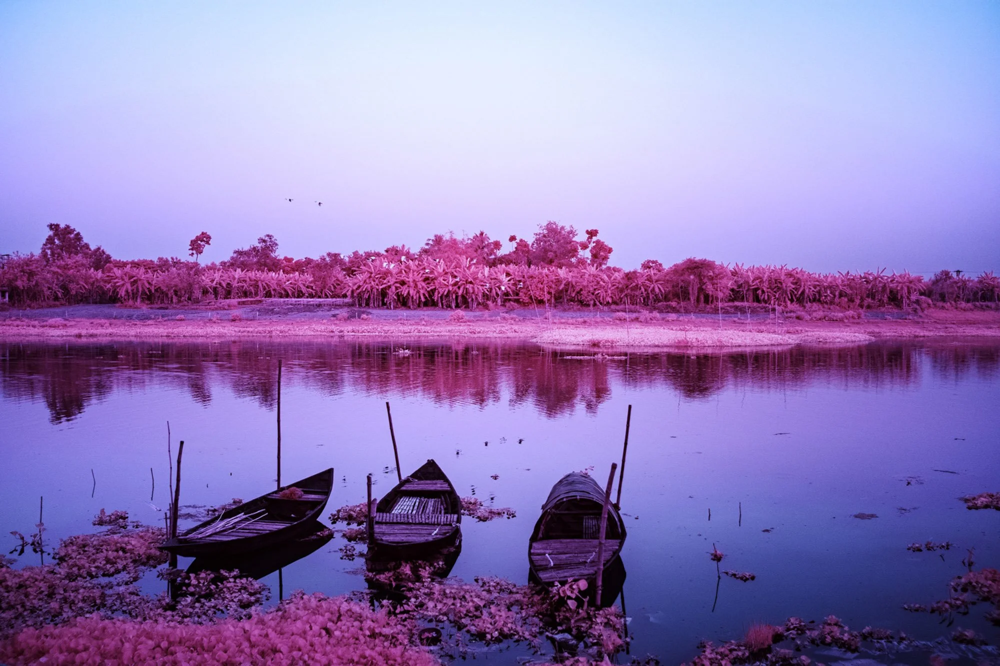 andre-wagner-the-infrared-journey-fine-art-photography-00404.jpg