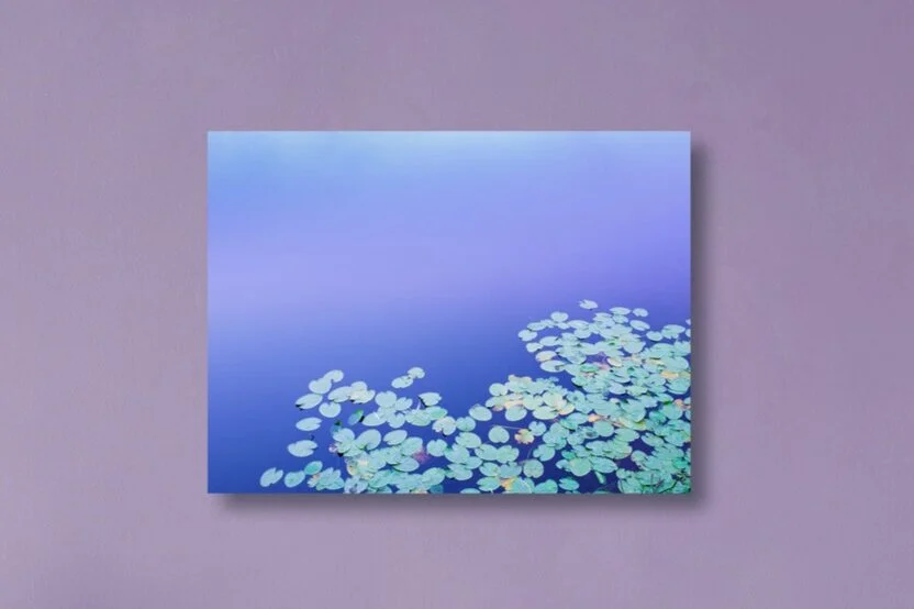 Water Flowers, Deutschland