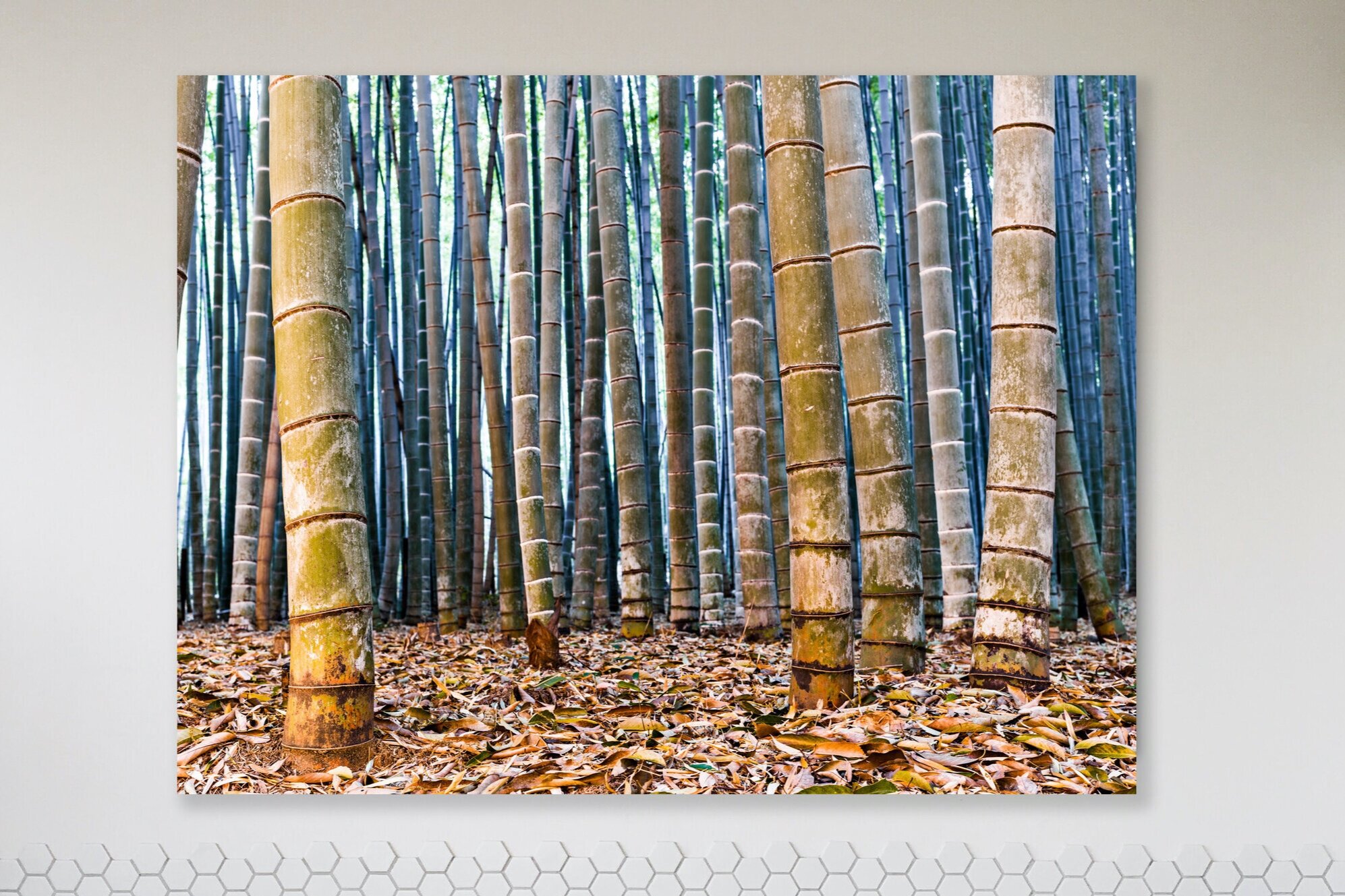 Bamboo Twilight, Japan