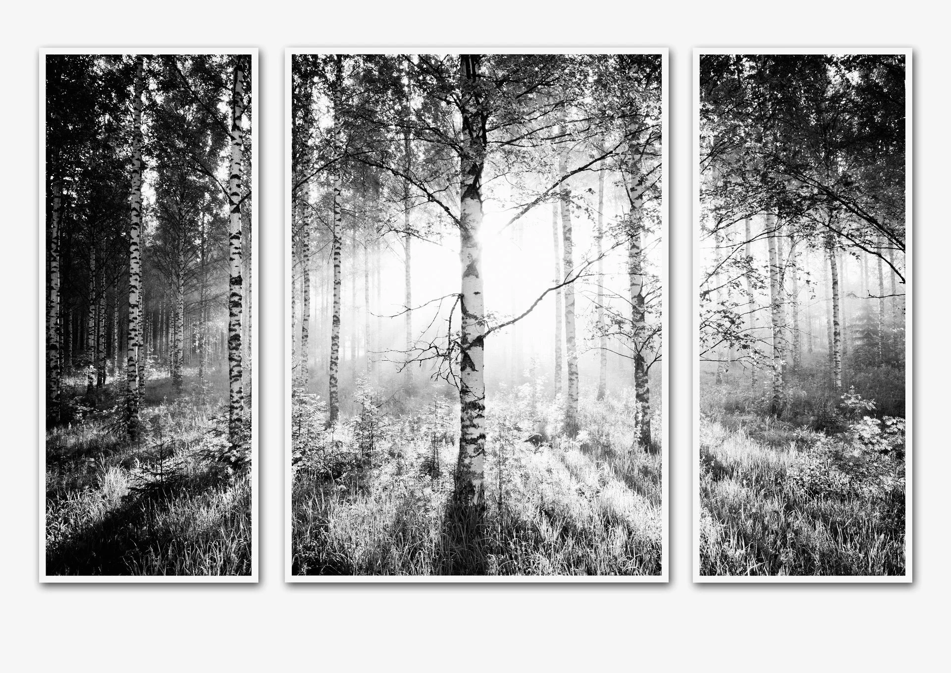 Birkenwald - Triptychon