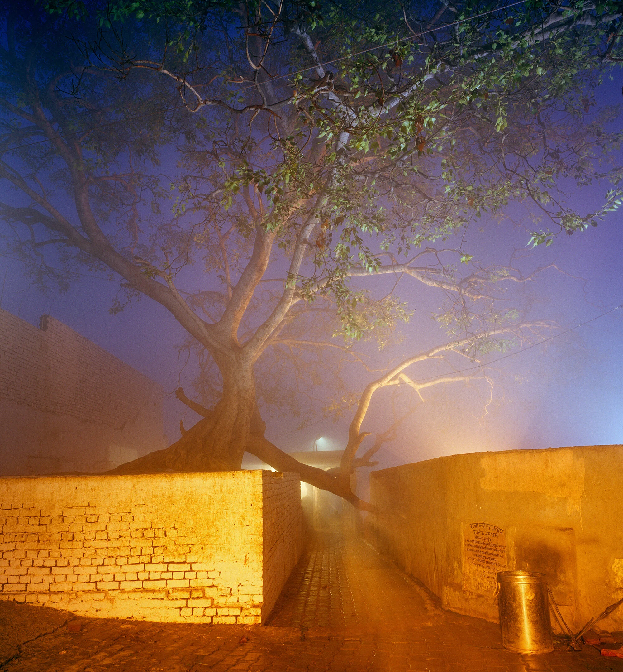 Fog in Vrindavana, Indien