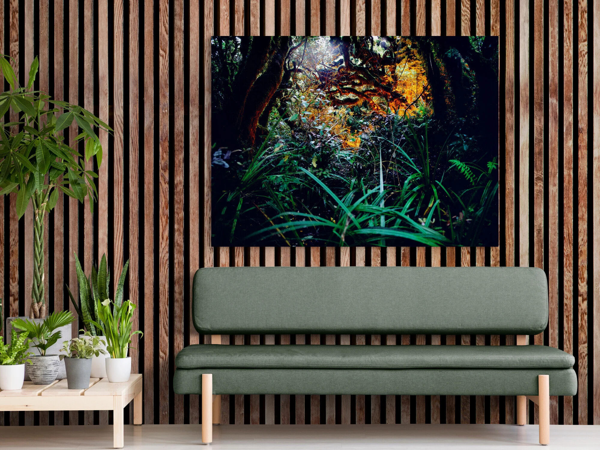 Rainforest, Neuseeland