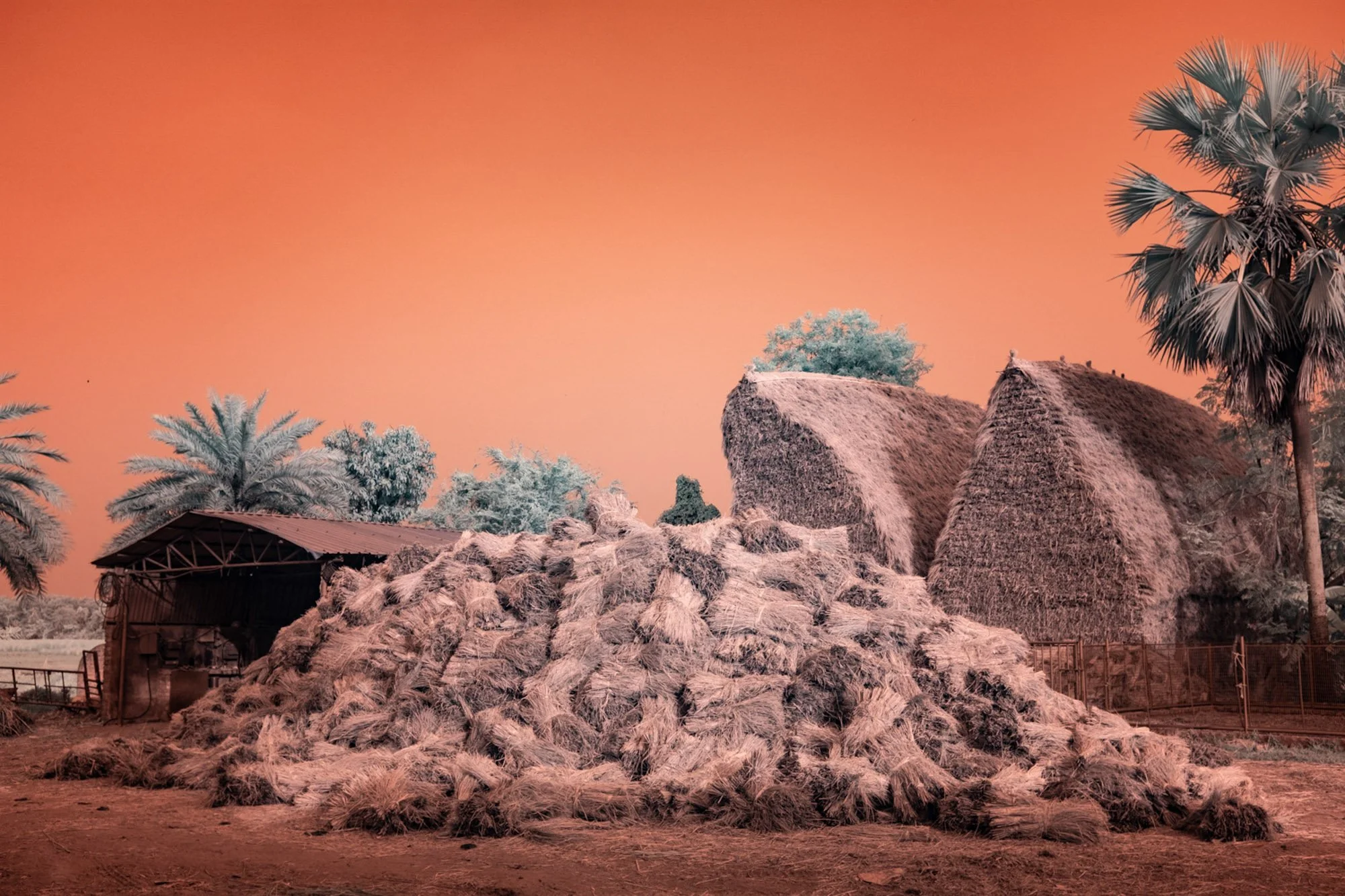andre-wagner-the-infrared-journey-fine-art-photography-00467.jpg