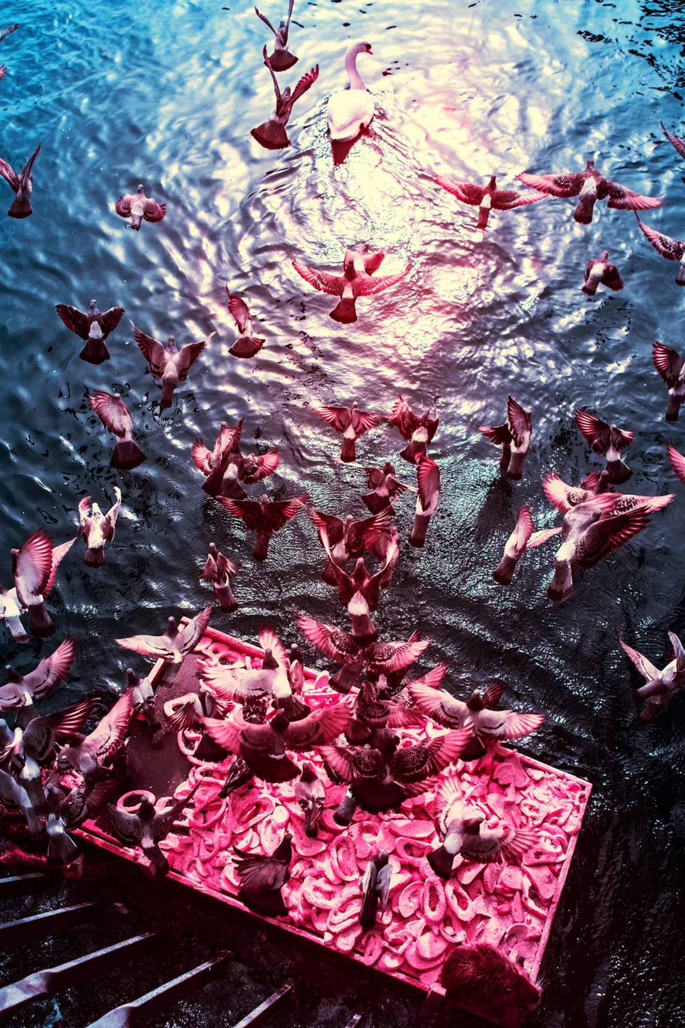 andre-wagner-the-infrared-journey-fine-art-photography-00308.jpg