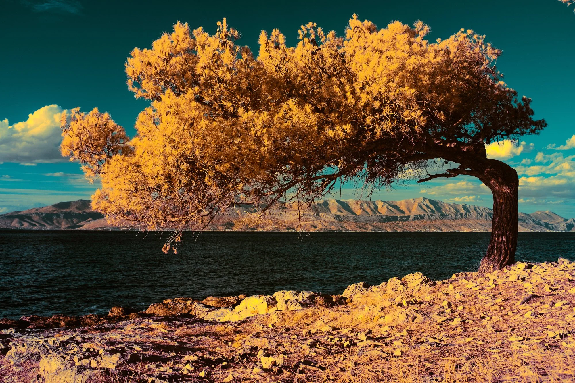 andre-wagner-the-infrared-journey-fine-art-photography-00397.jpg