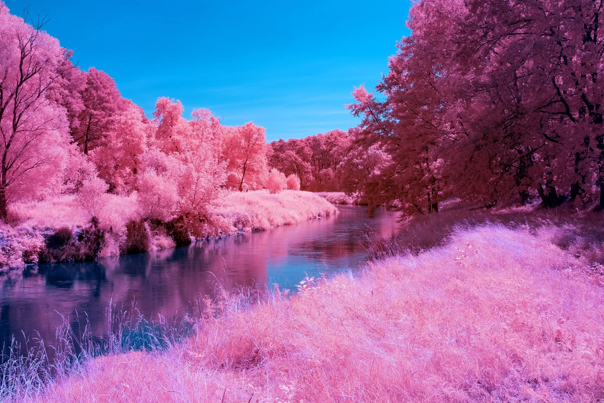 andre-wagner-the-infrared-journey-fine-art-photography-00764.jpg