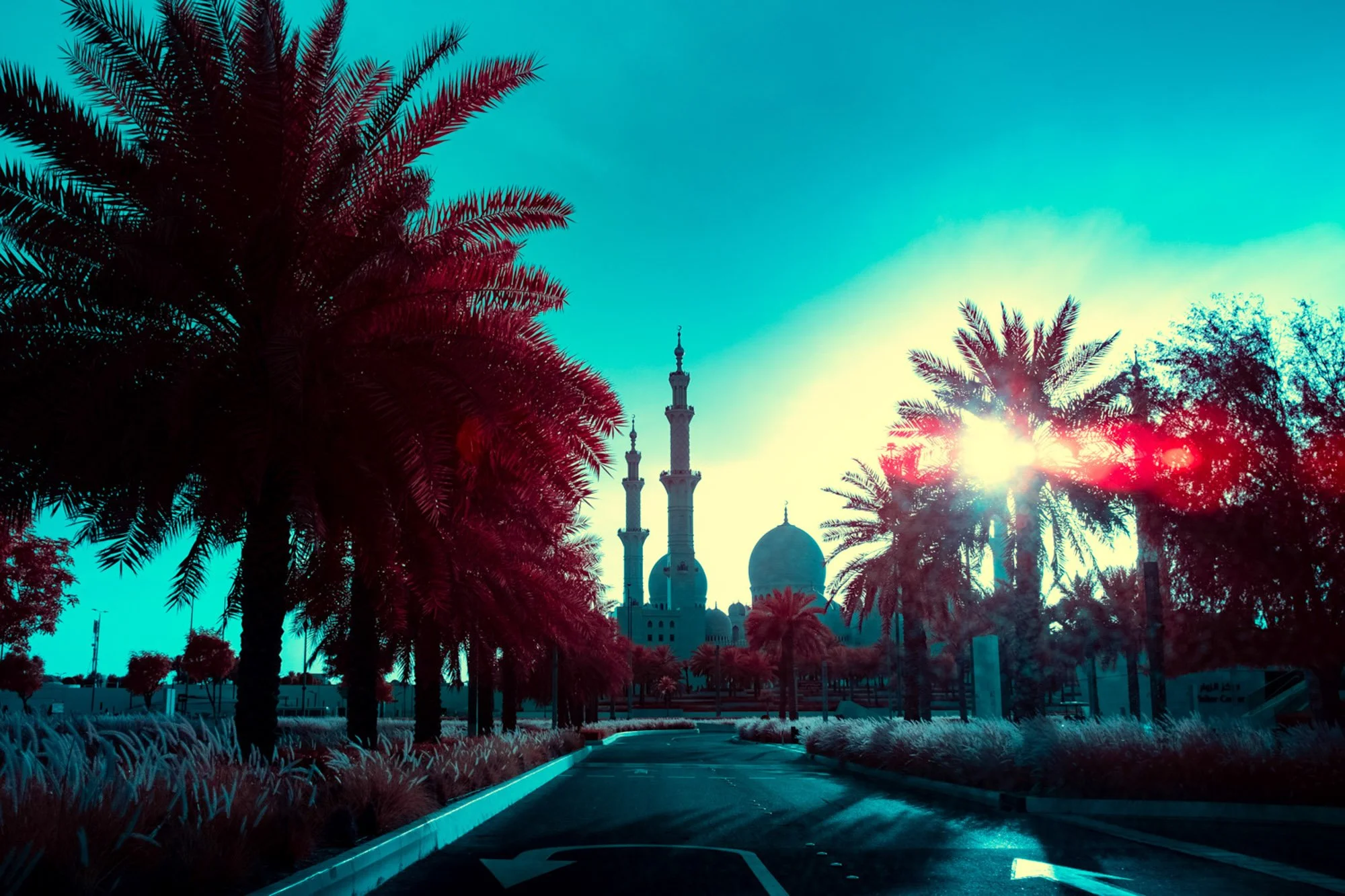 andre-wagner-the-infrared-journey-fine-art-photography-00485.jpg