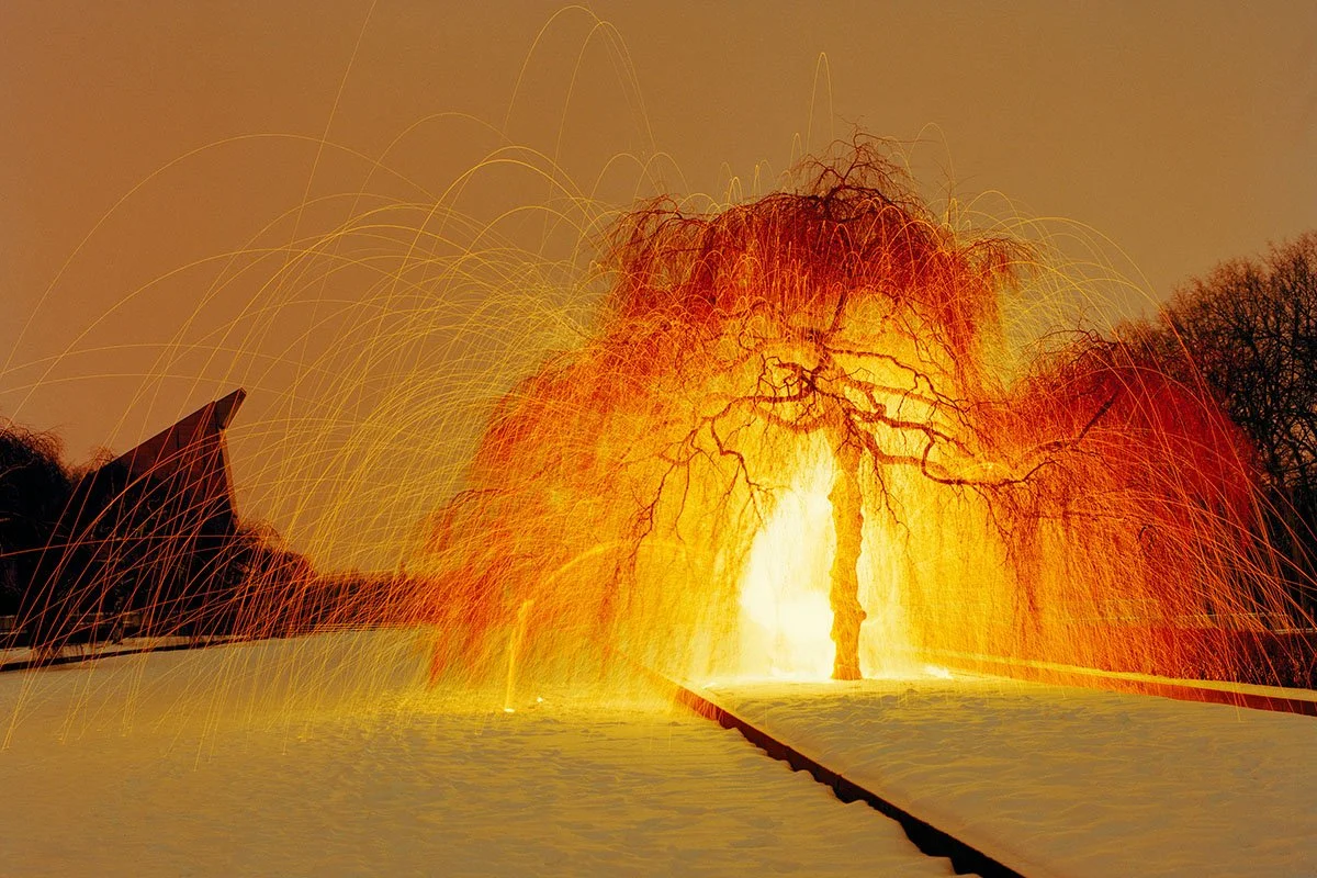 Ein Baum in gefrorenem Wasser, umgeben von Feuerwerksfunken