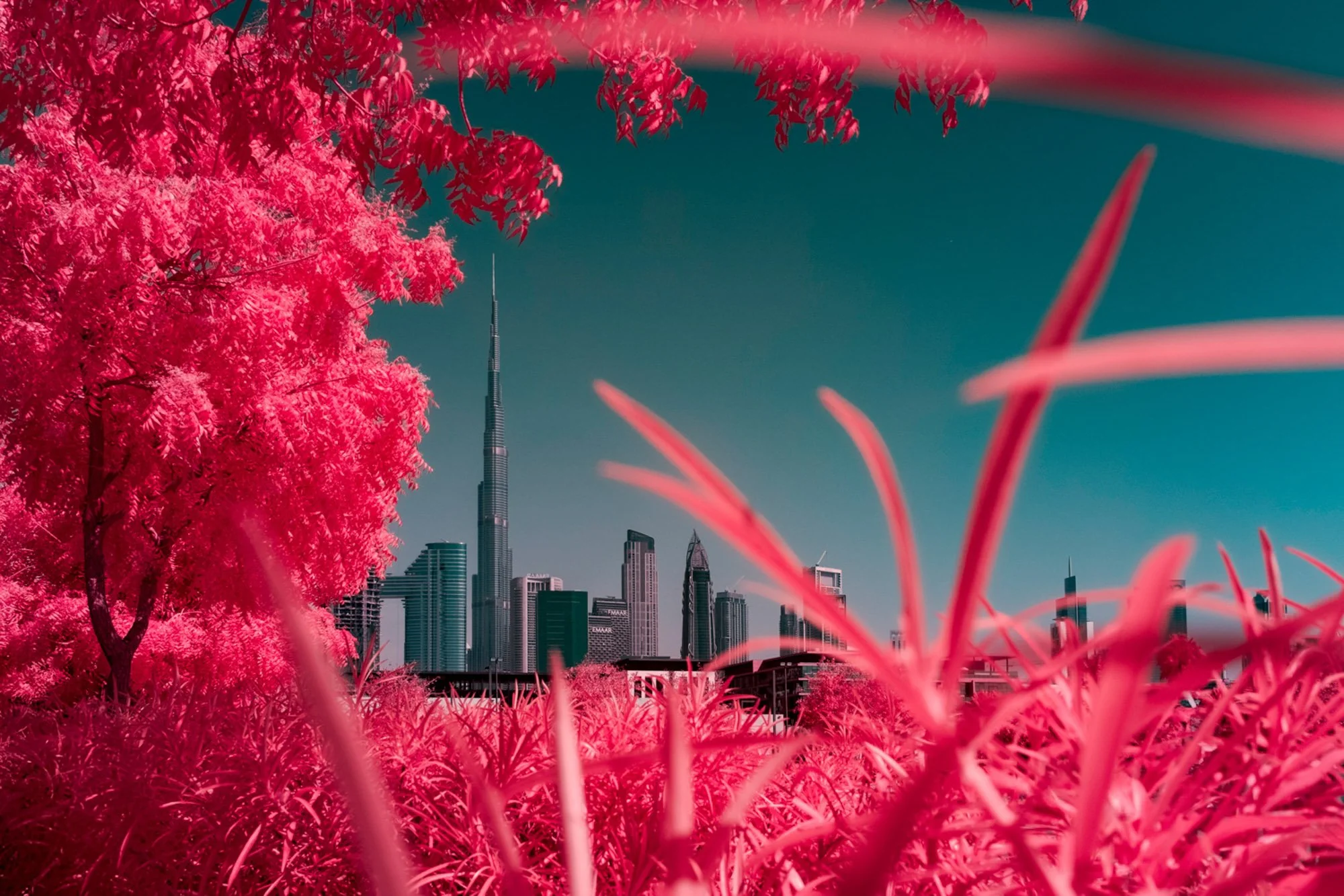 andre-wagner-the-infrared-journey-fine-art-photography-00503.jpg