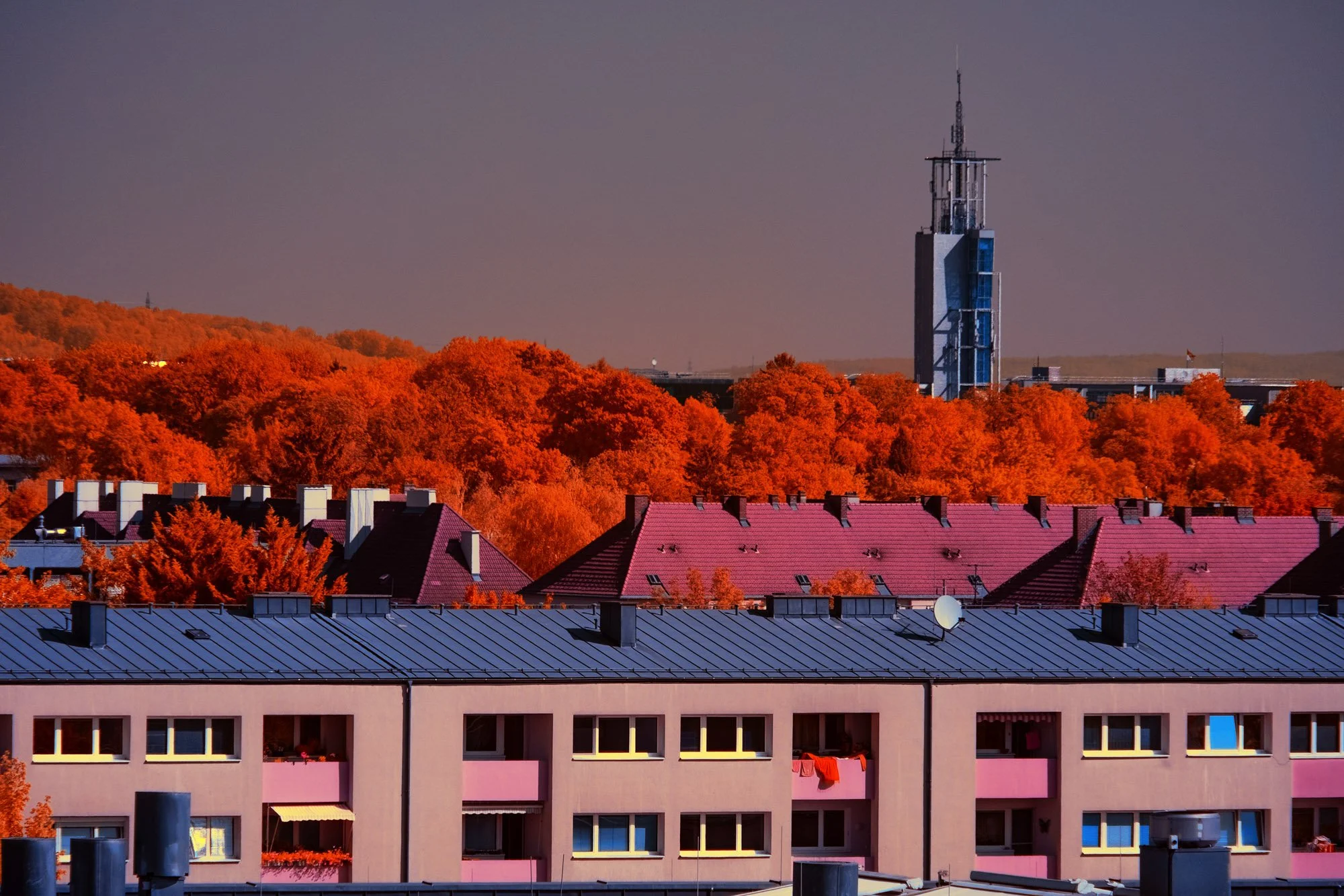 andre-wagner-the-infrared-journey-fine-art-photography-00627.jpg