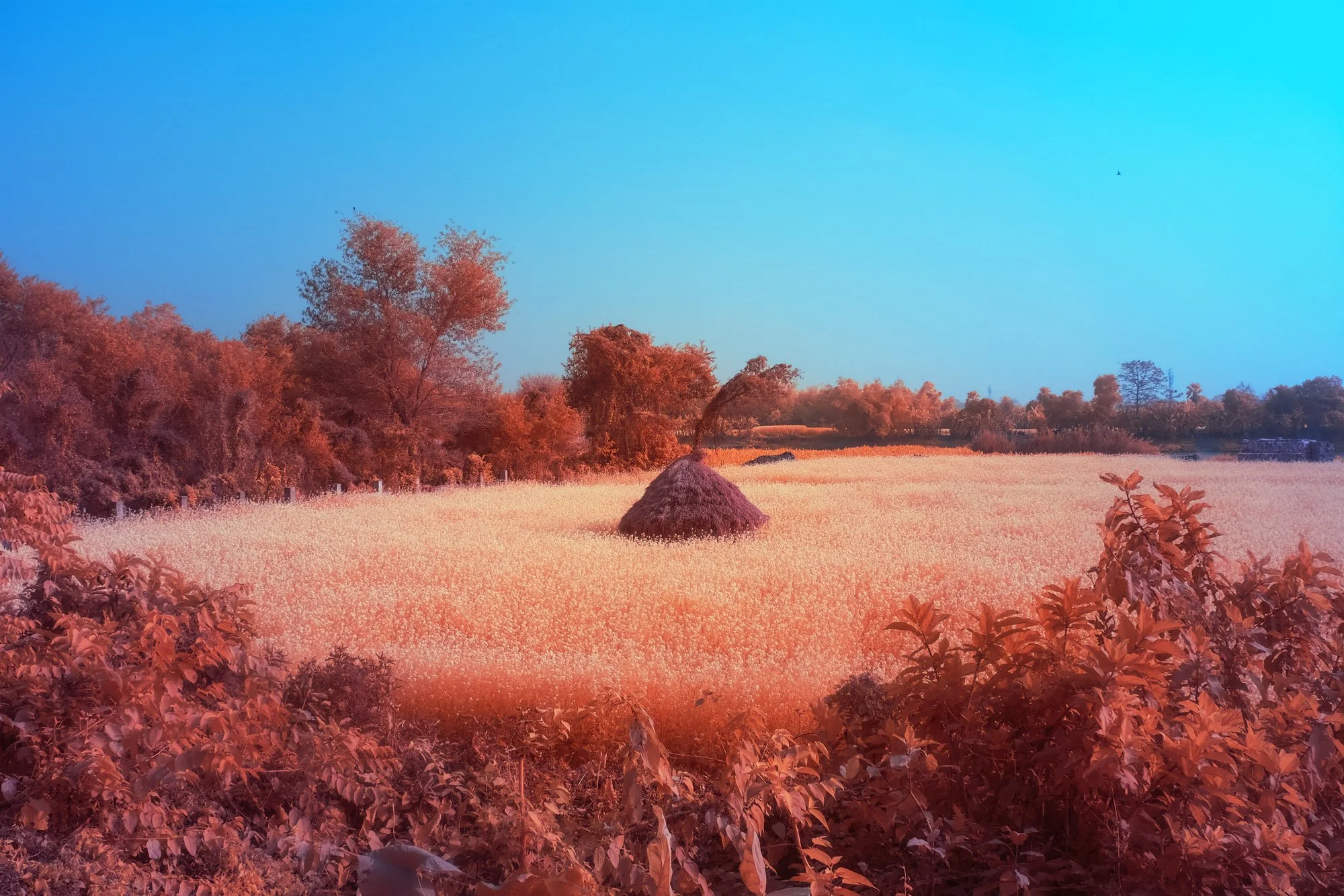 andre-wagner-the-infrared-journey-fine-art-photography-00760.jpg