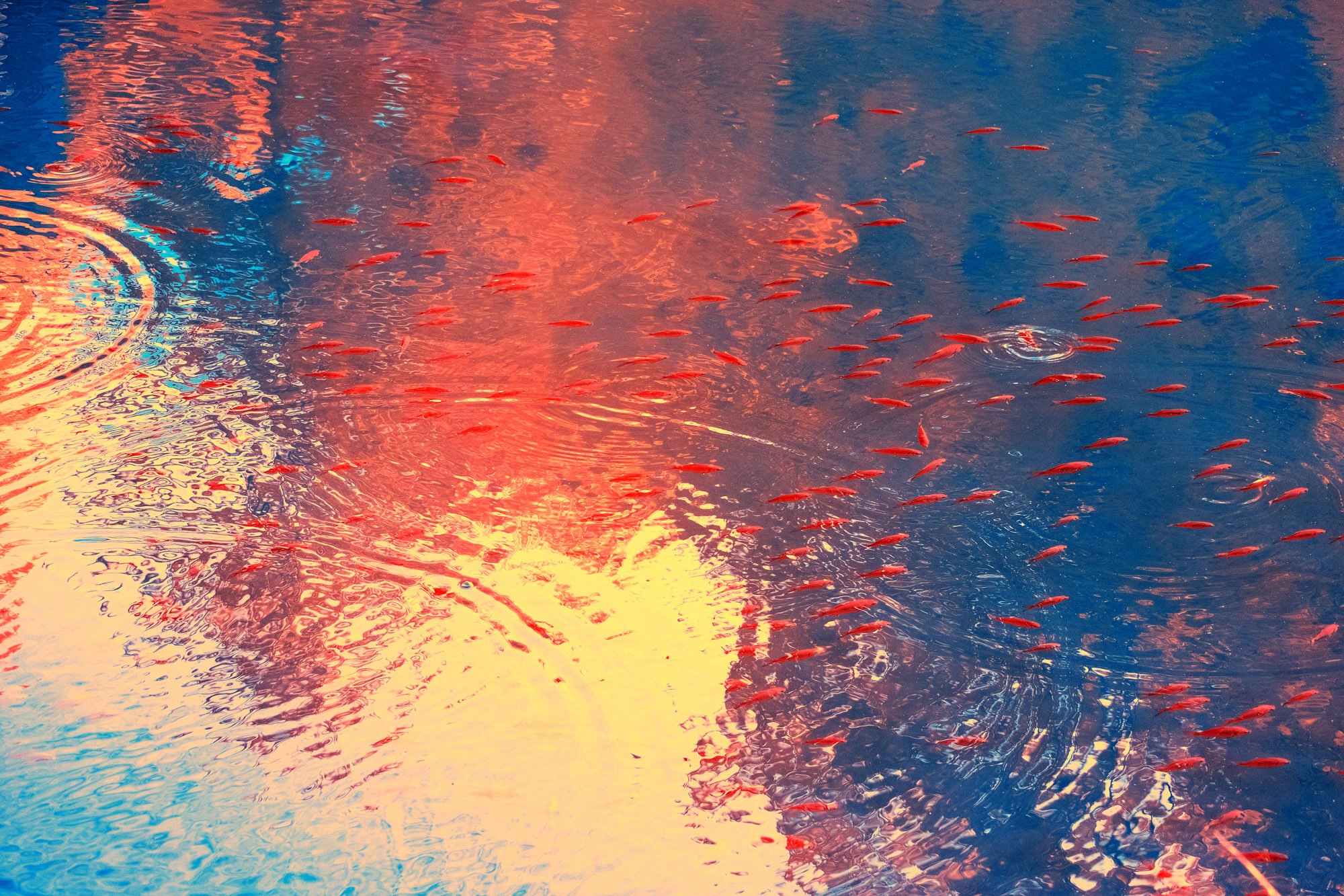 andre-wagner-the-infrared-journey-fine-art-photography-00289.jpg