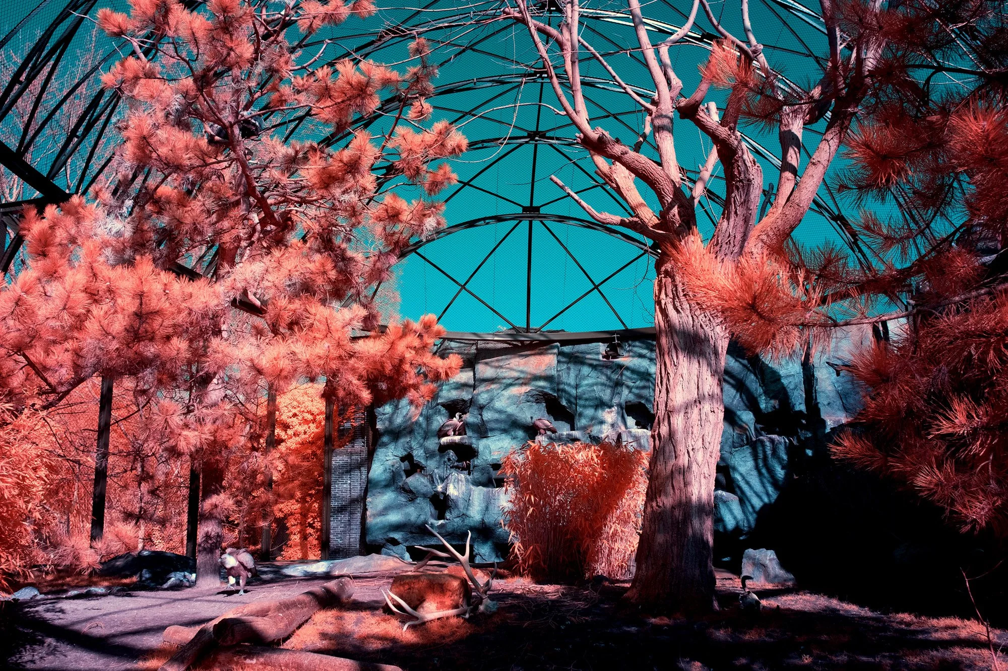 andre-wagner-the-infrared-journey-fine-art-photography-00655.jpg