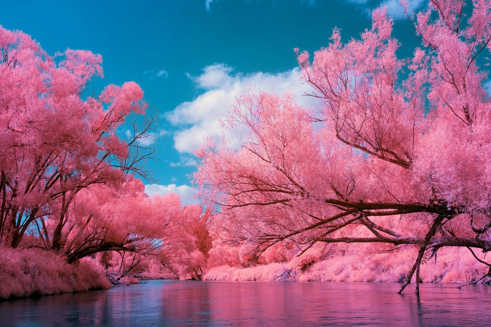 andre-wagner-the-infrared-journey-fine-art-photography-00775.jpg