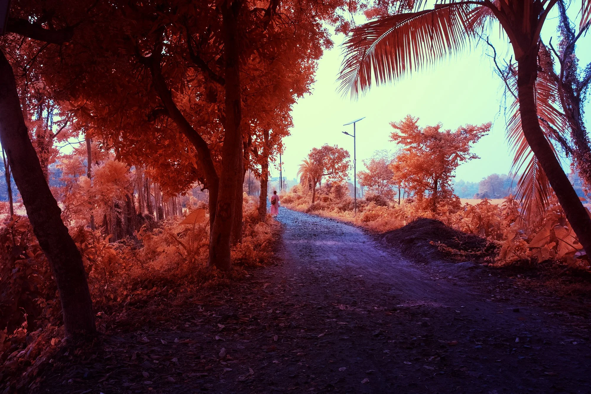 andre-wagner-the-infrared-journey-fine-art-photography-00245.jpg