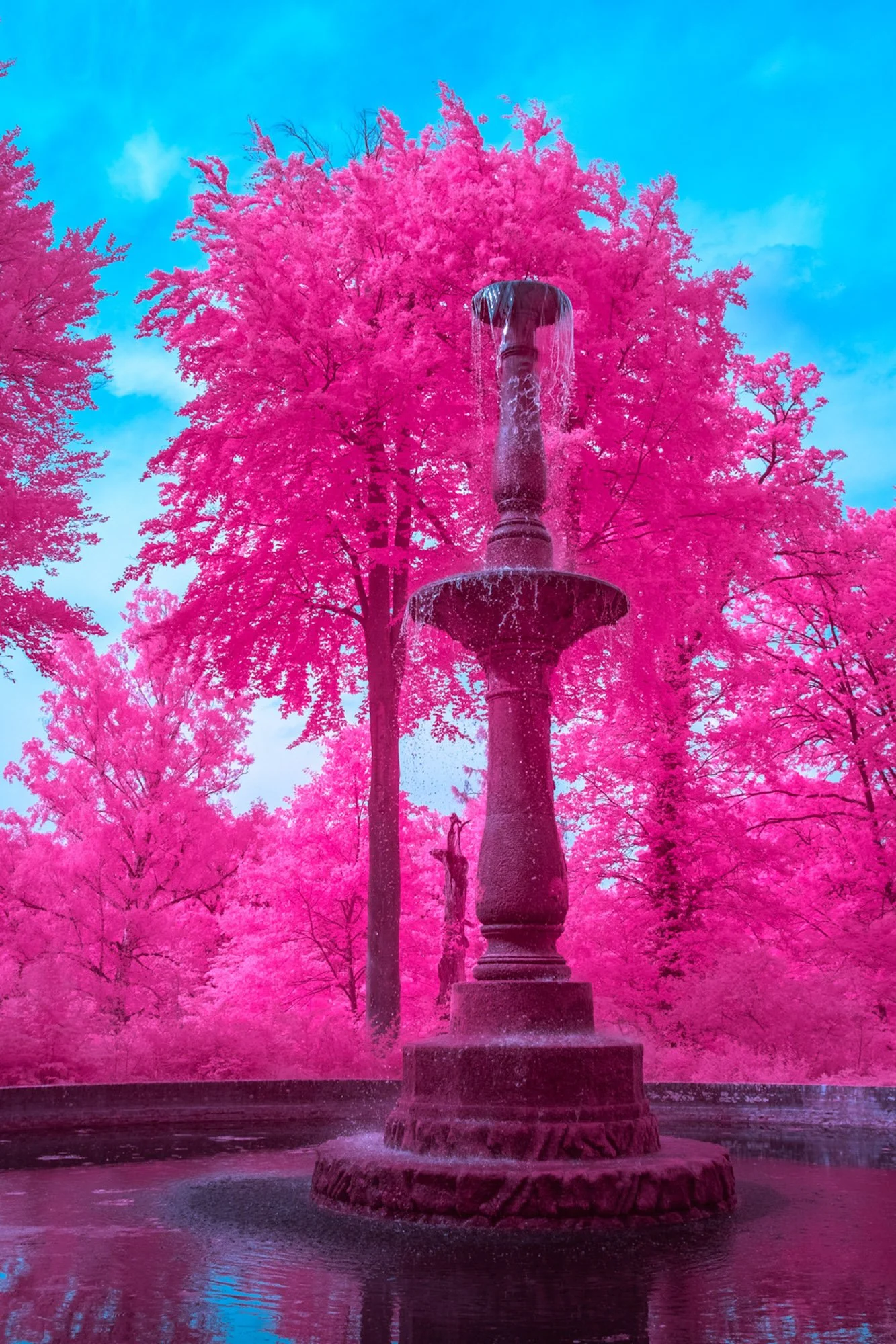 andre-wagner-the-infrared-journey-fine-art-photography-00606.jpg