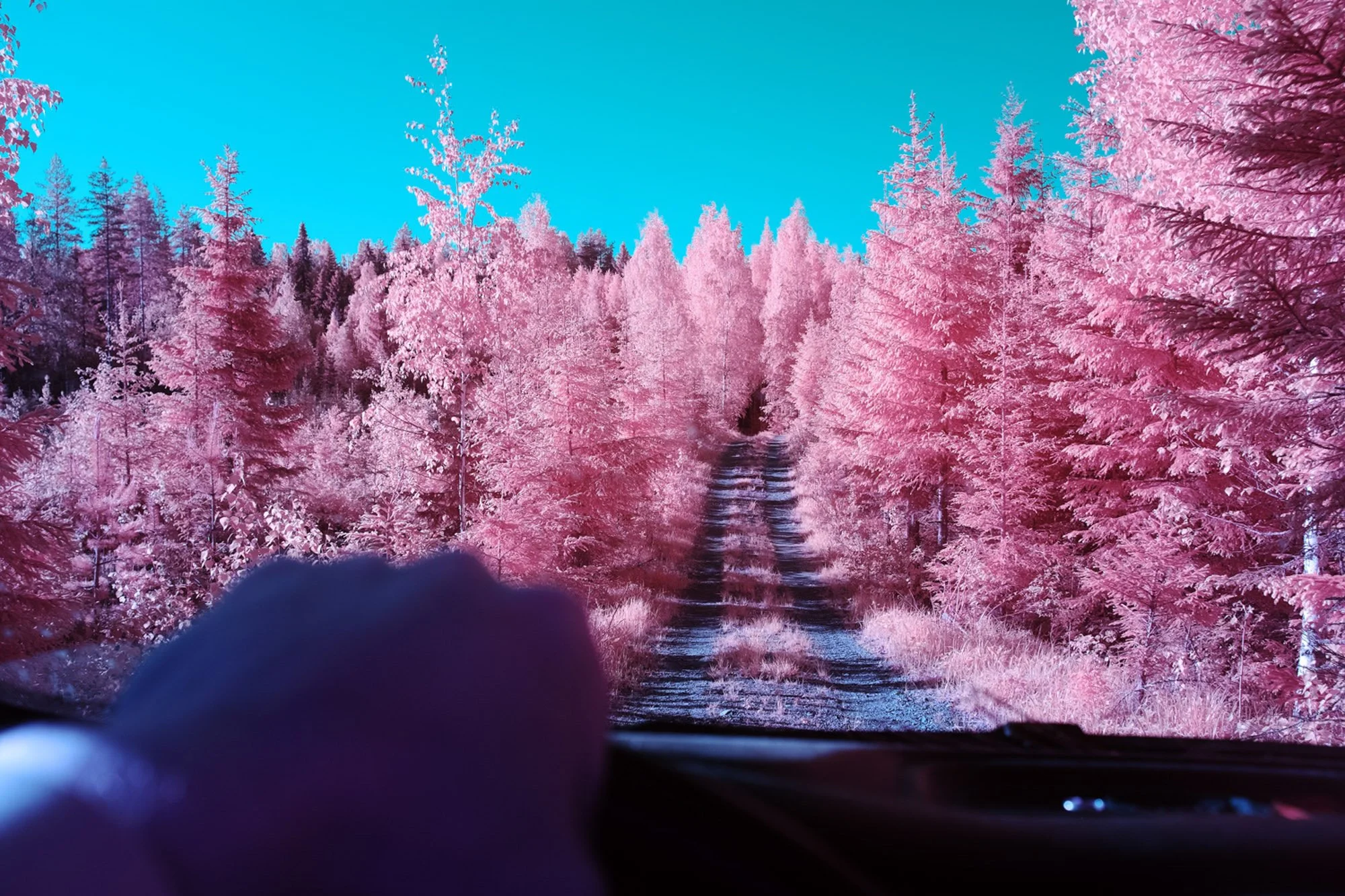 andre-wagner-the-infrared-journey-fine-art-photography-00338.jpg