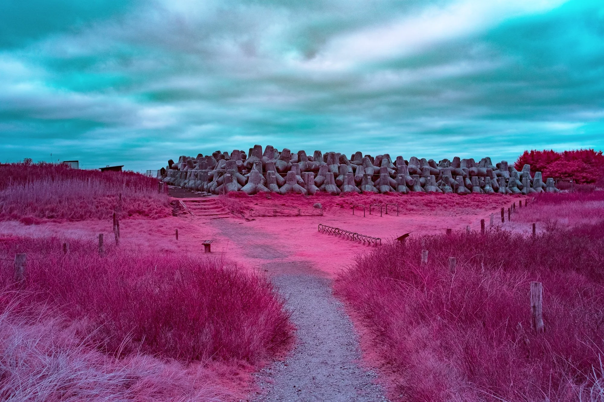 andre-wagner-the-infrared-journey-fine-art-photography-00676.jpg
